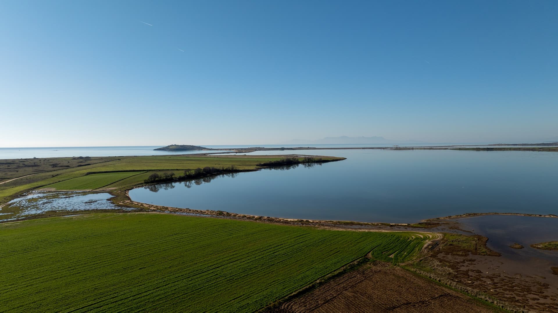 Alt text not provided