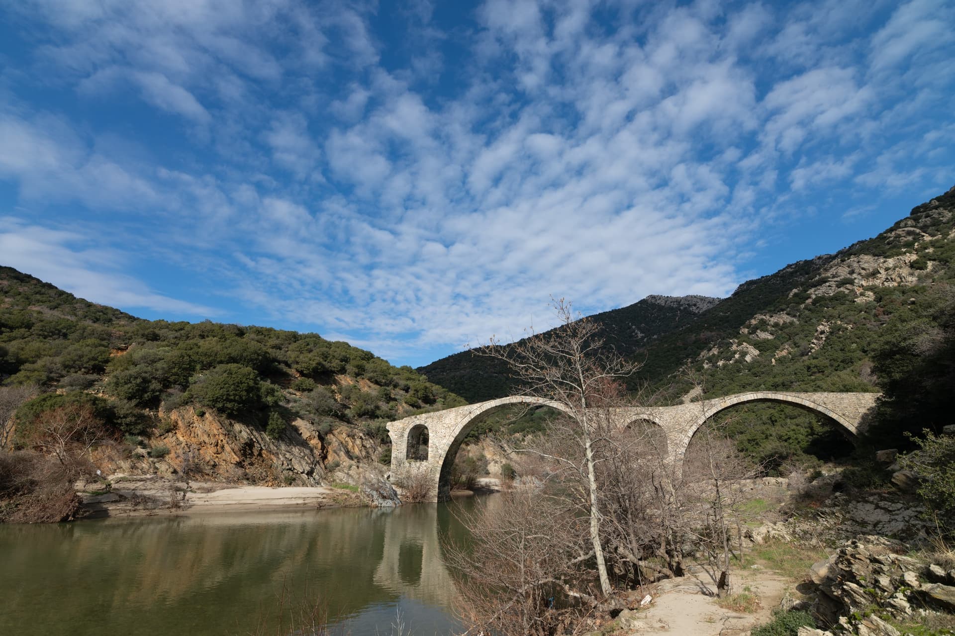 Alt text not provided