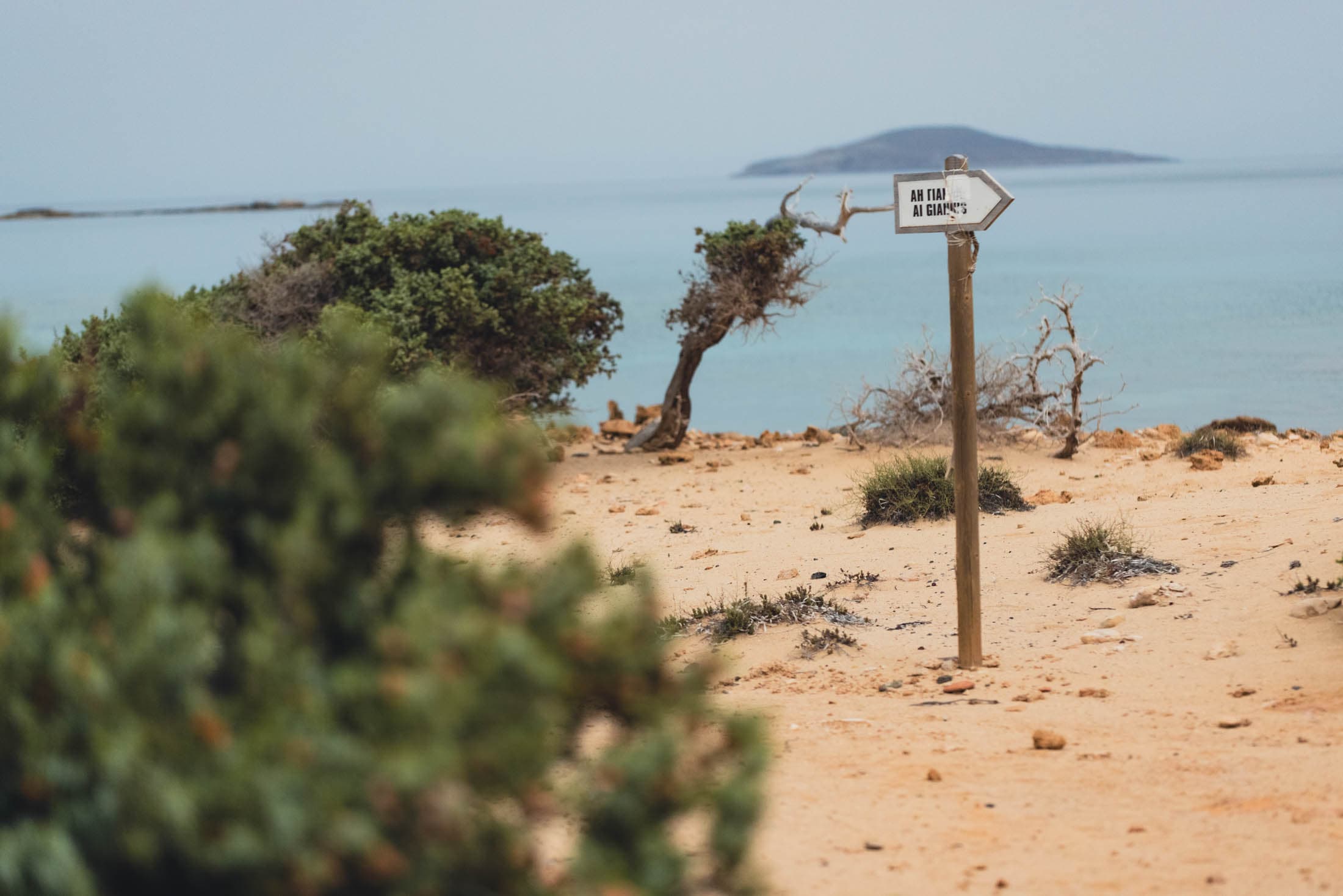 Alt text not provided