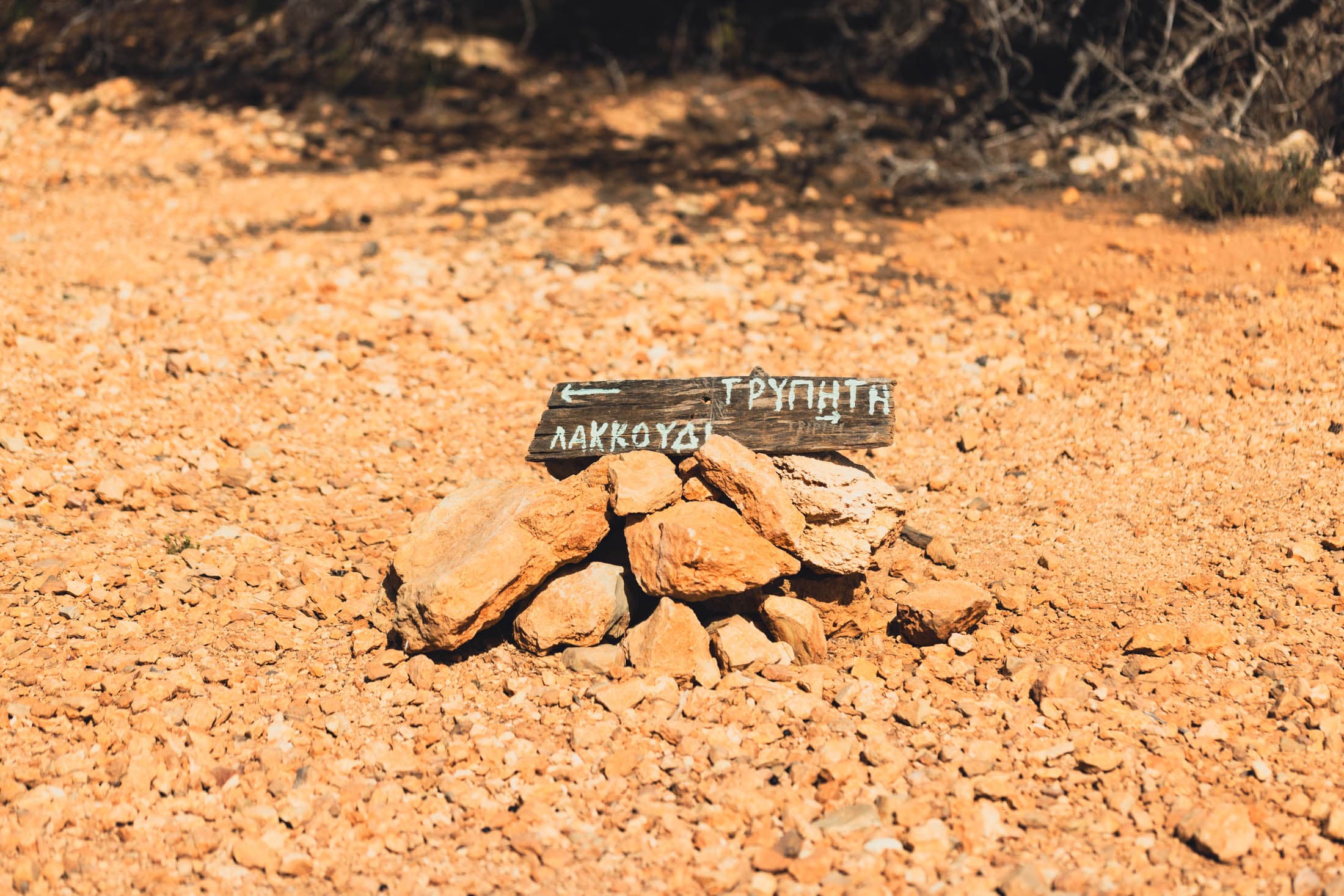 Alt text not provided