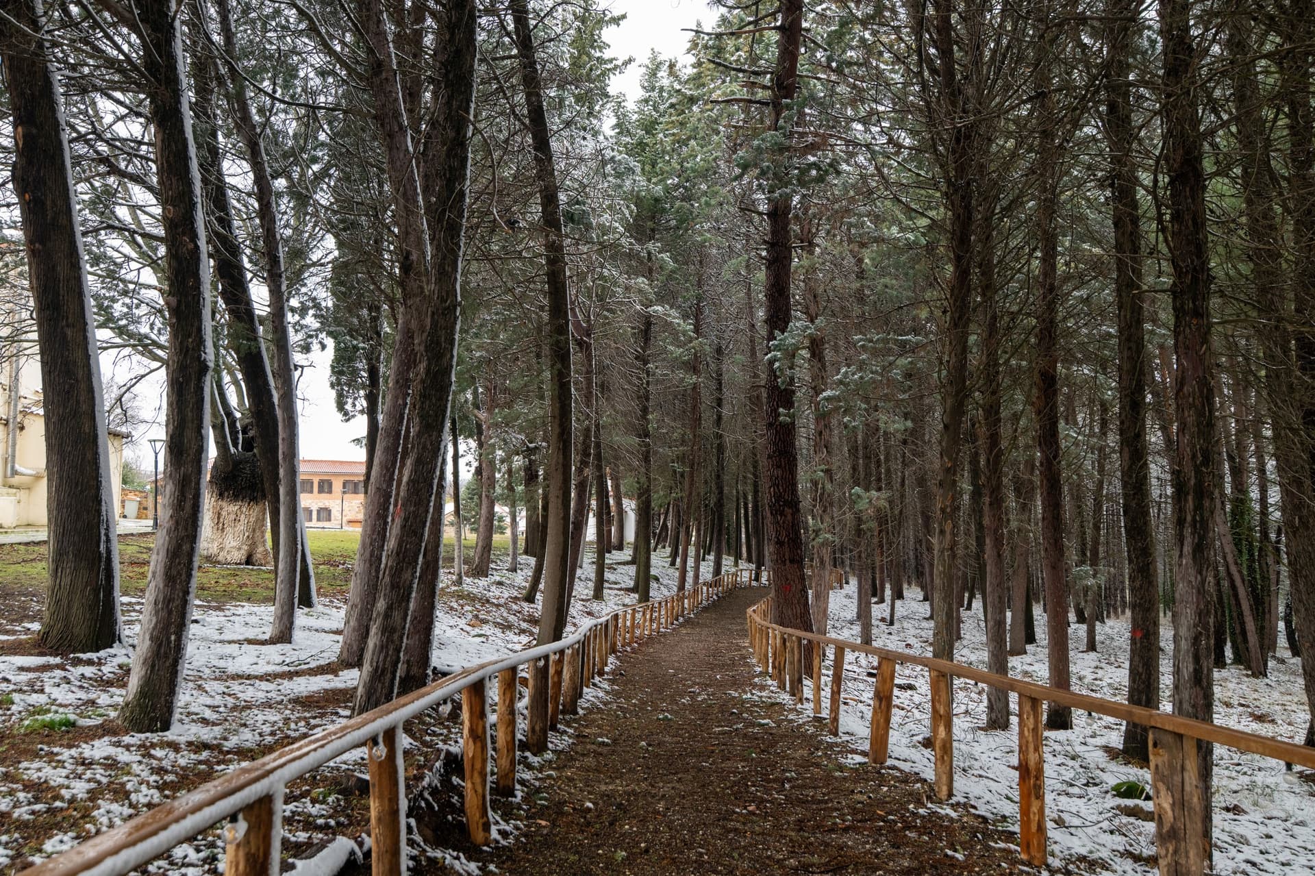 Alt text not provided