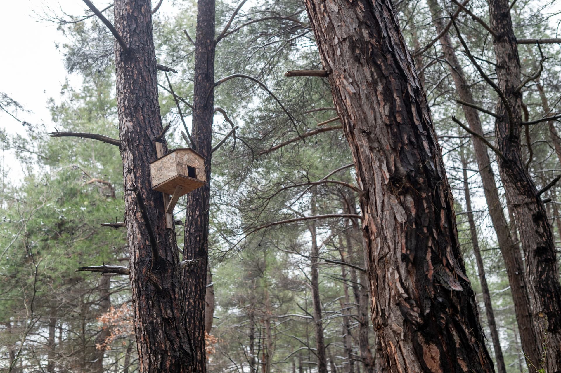 Alt text not provided