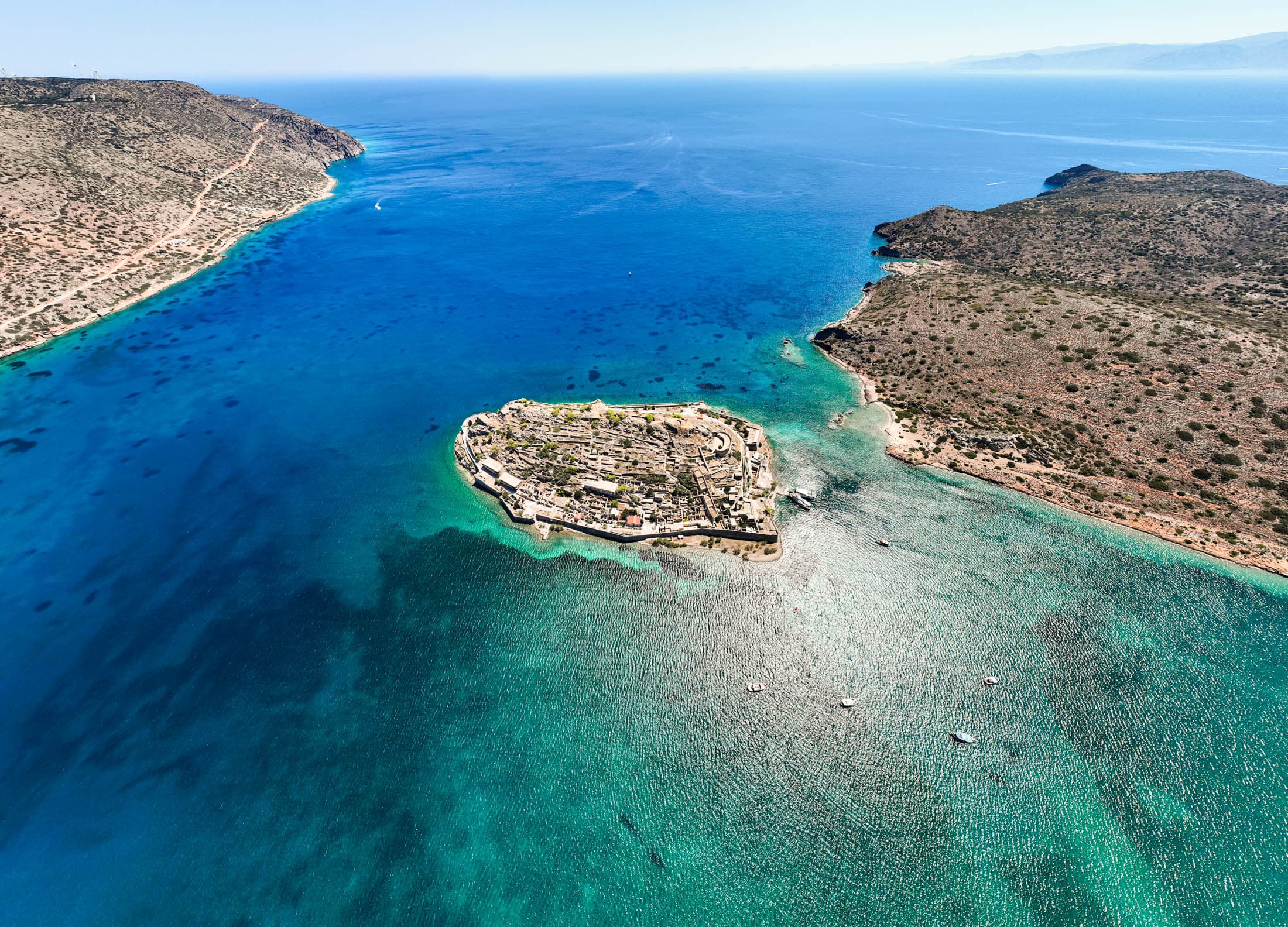 Alt text not provided