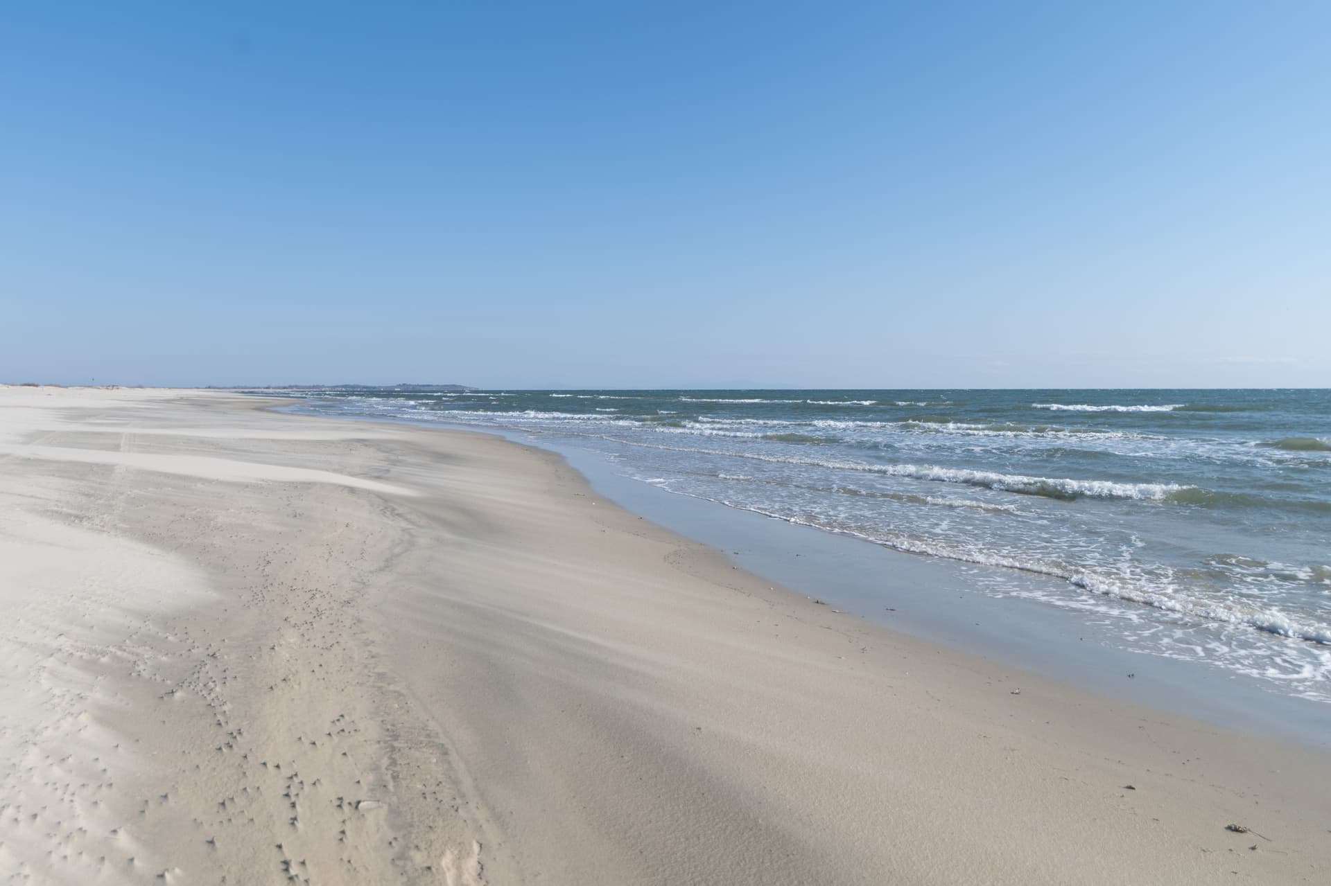 Alt text not provided