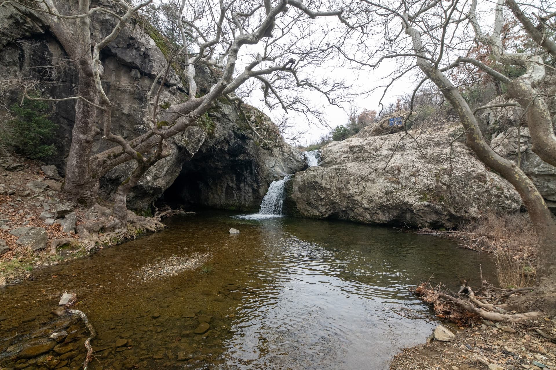 Alt text not provided