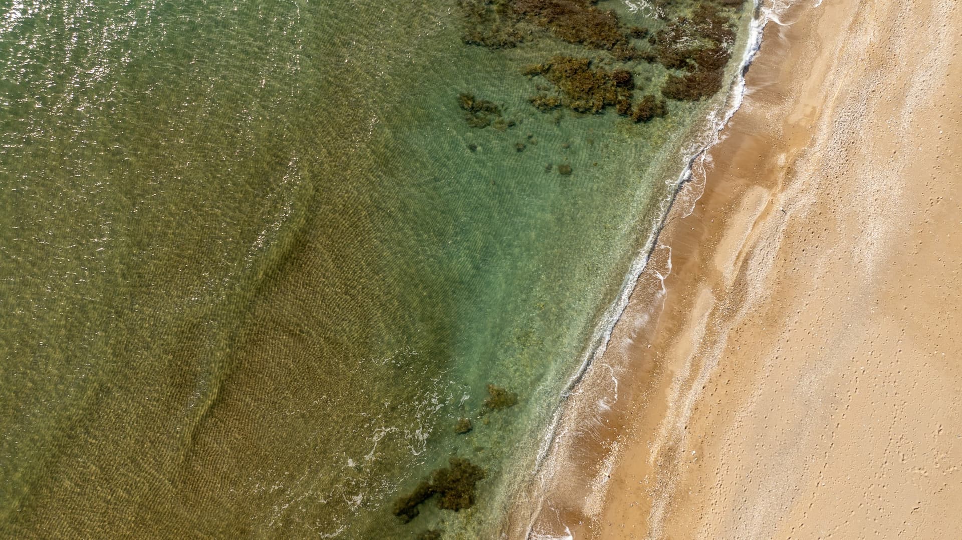 Alt text not provided