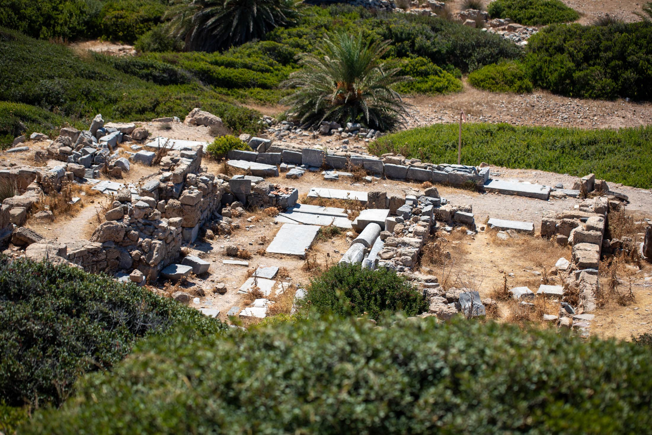 Alt text not provided