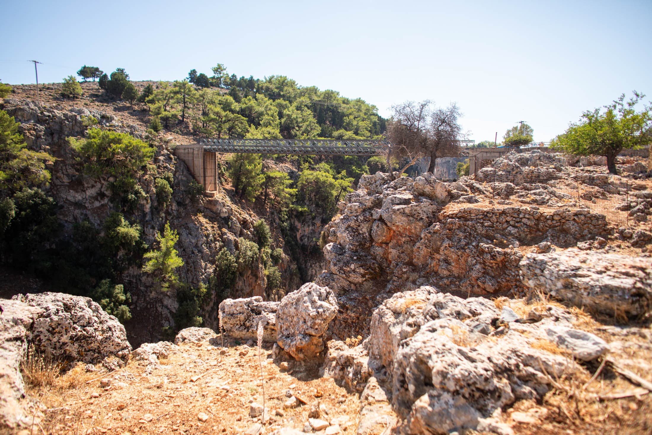 Alt text not provided