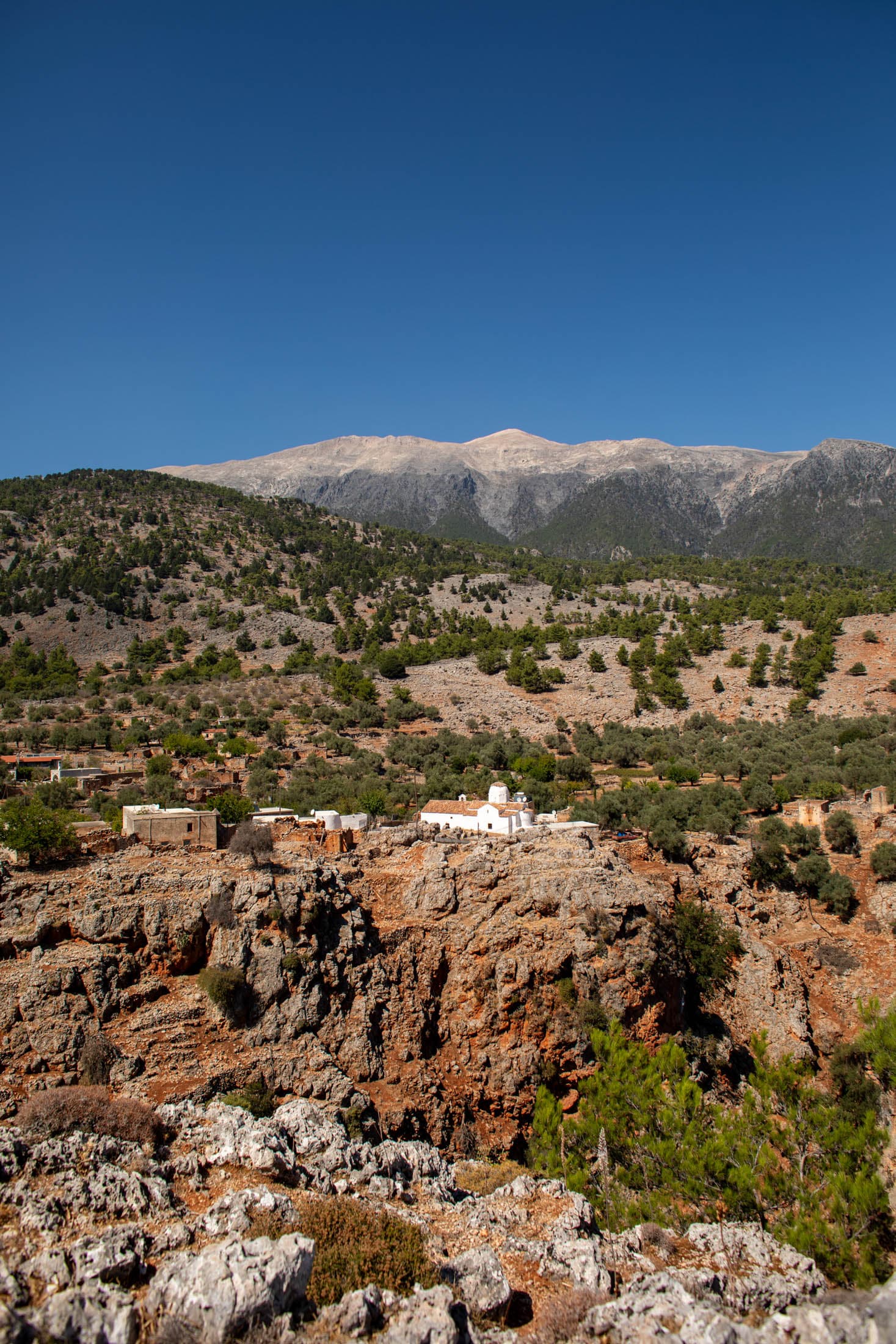 Alt text not provided