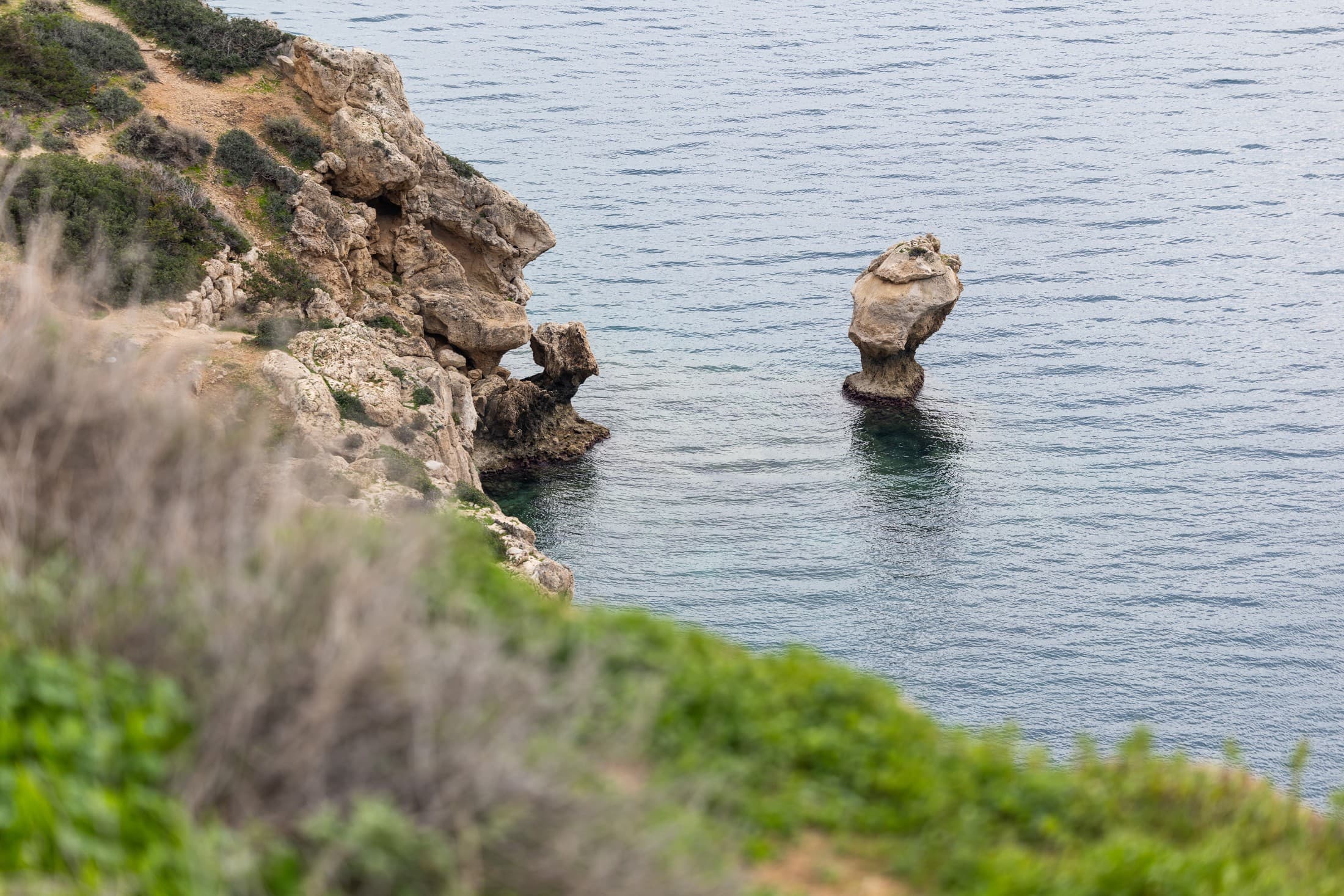 Alt text not provided