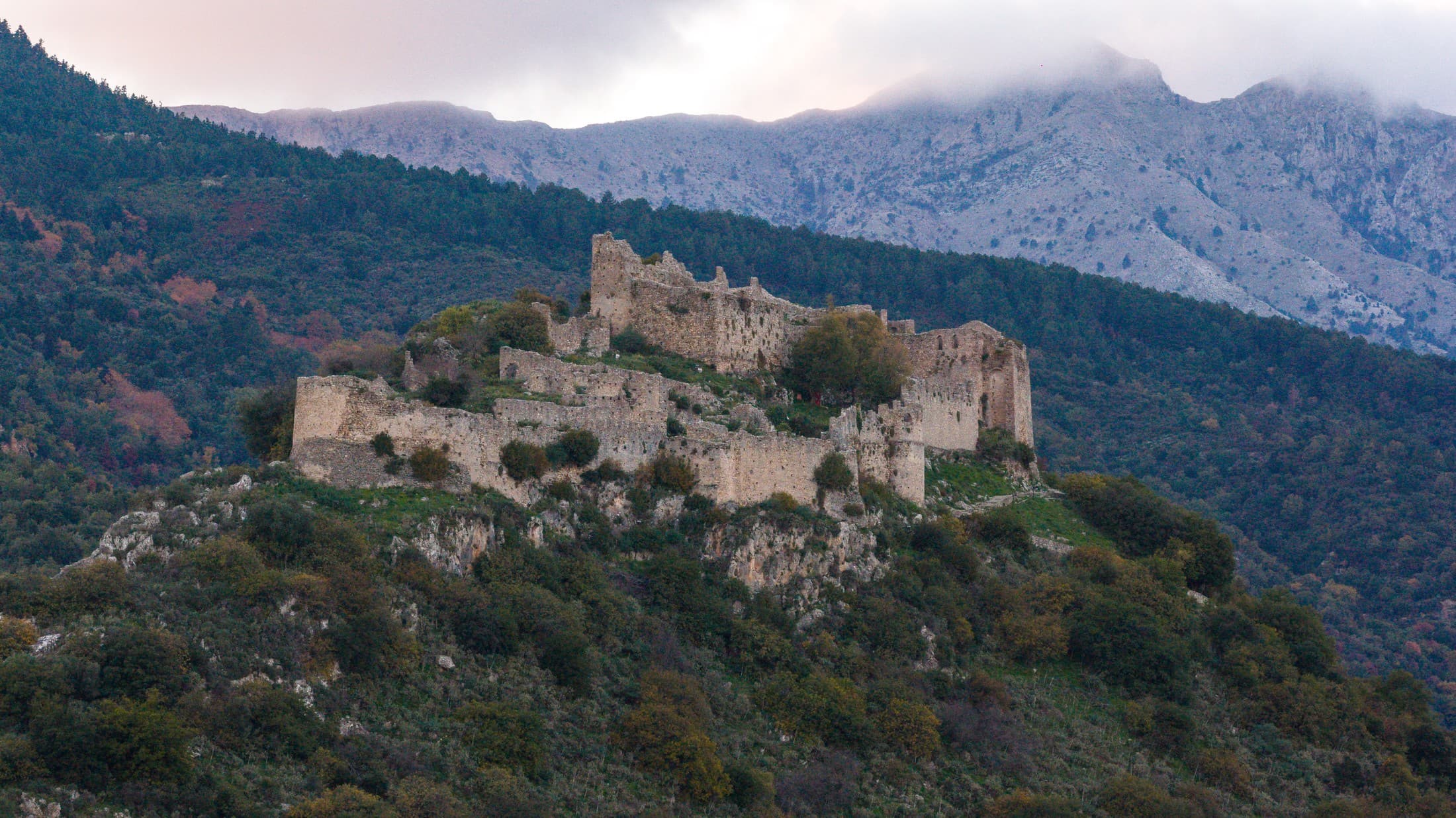 Alt text not provided