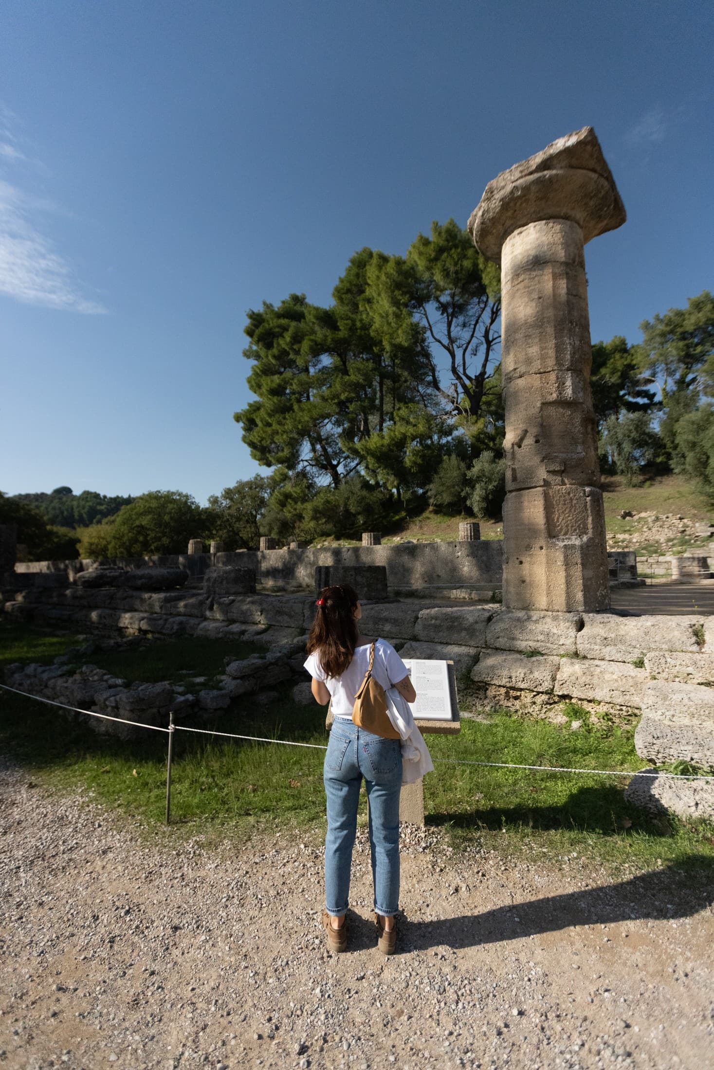 Alt text not provided