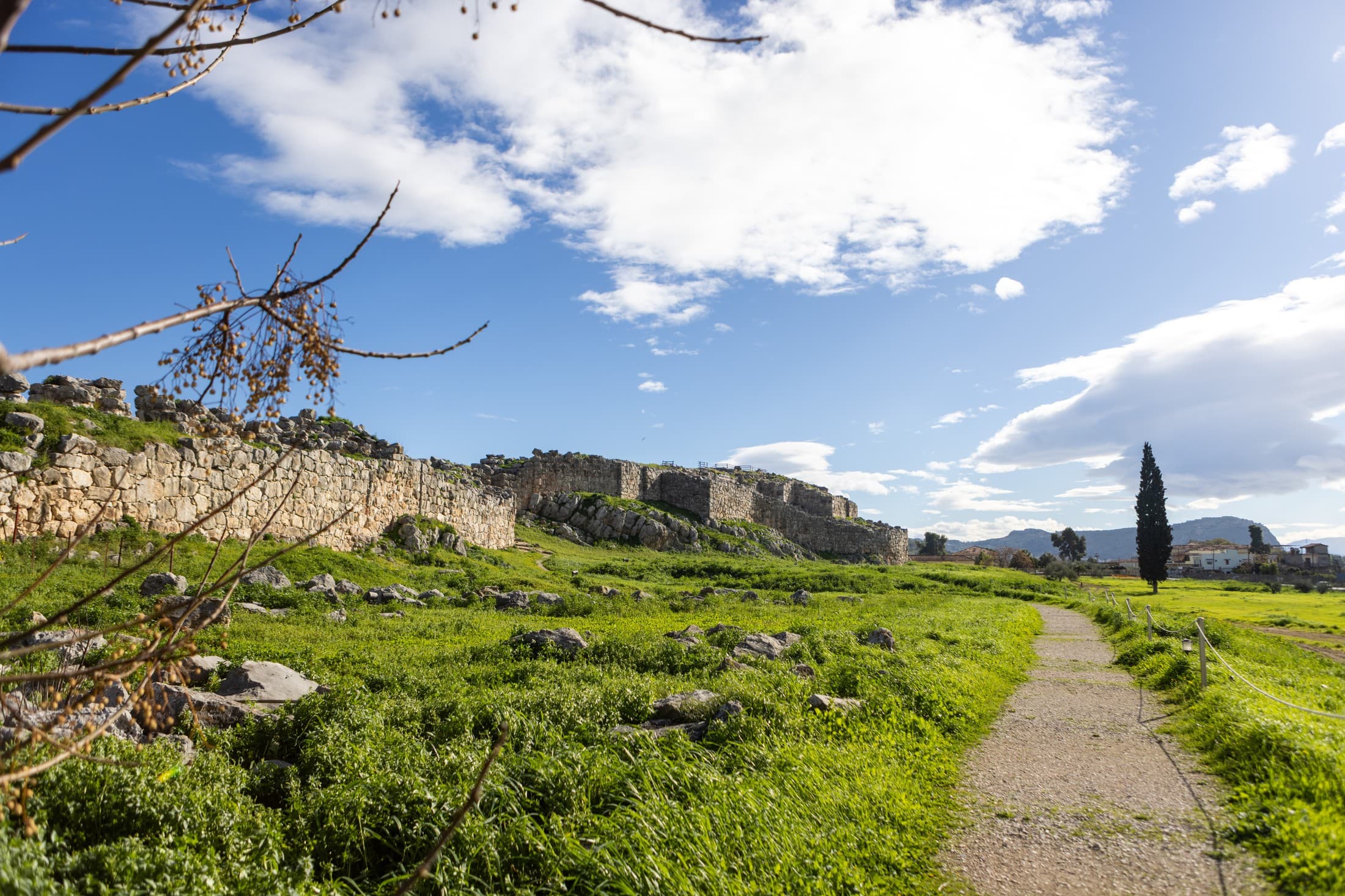 Alt text not provided