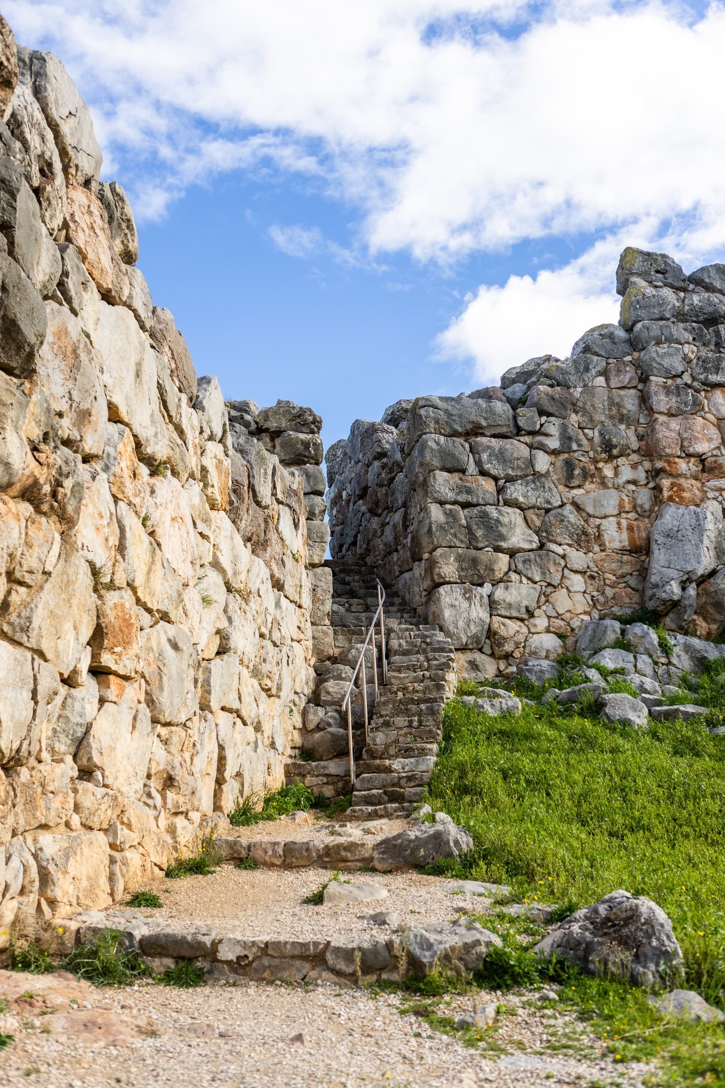 Alt text not provided