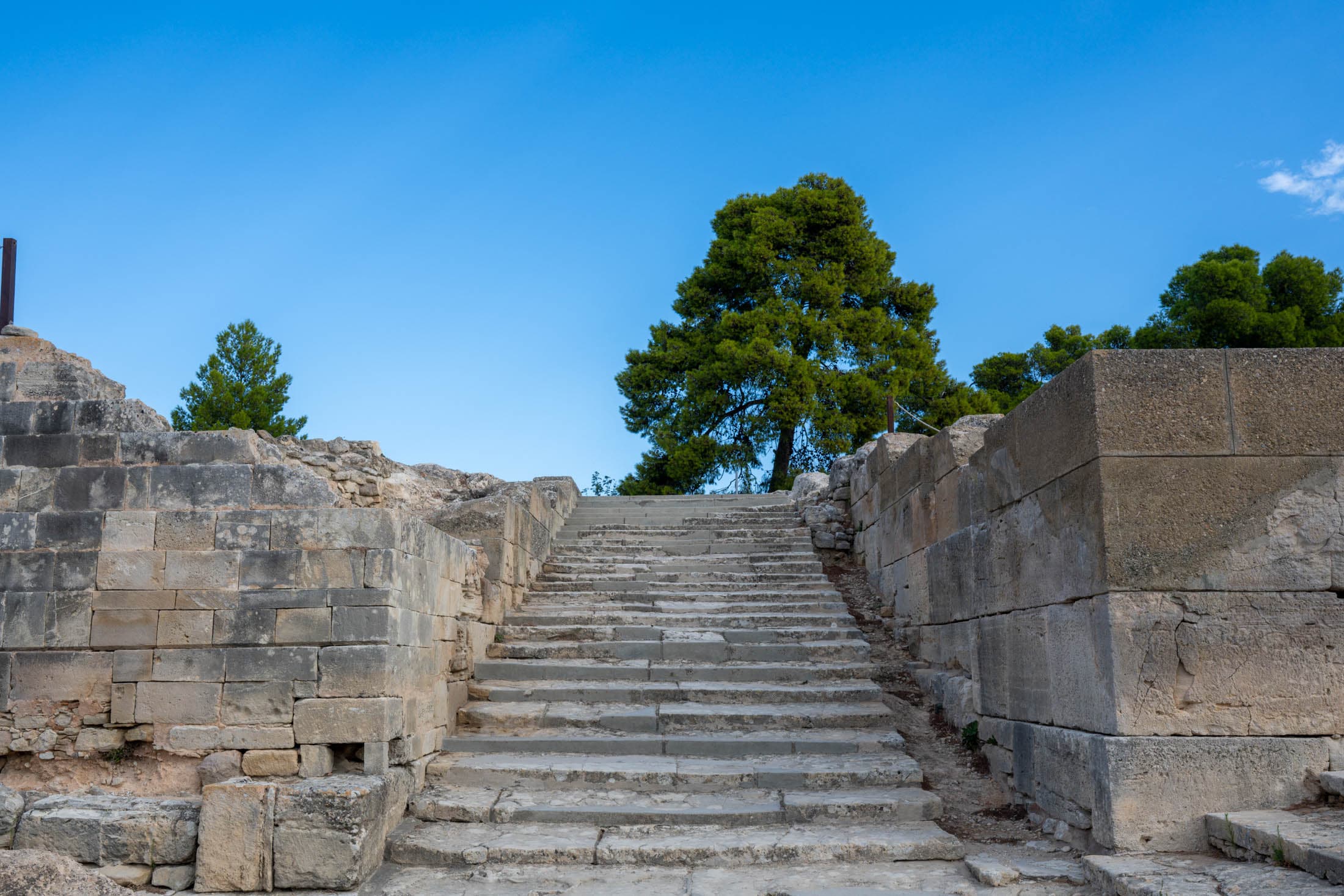 Alt text not provided