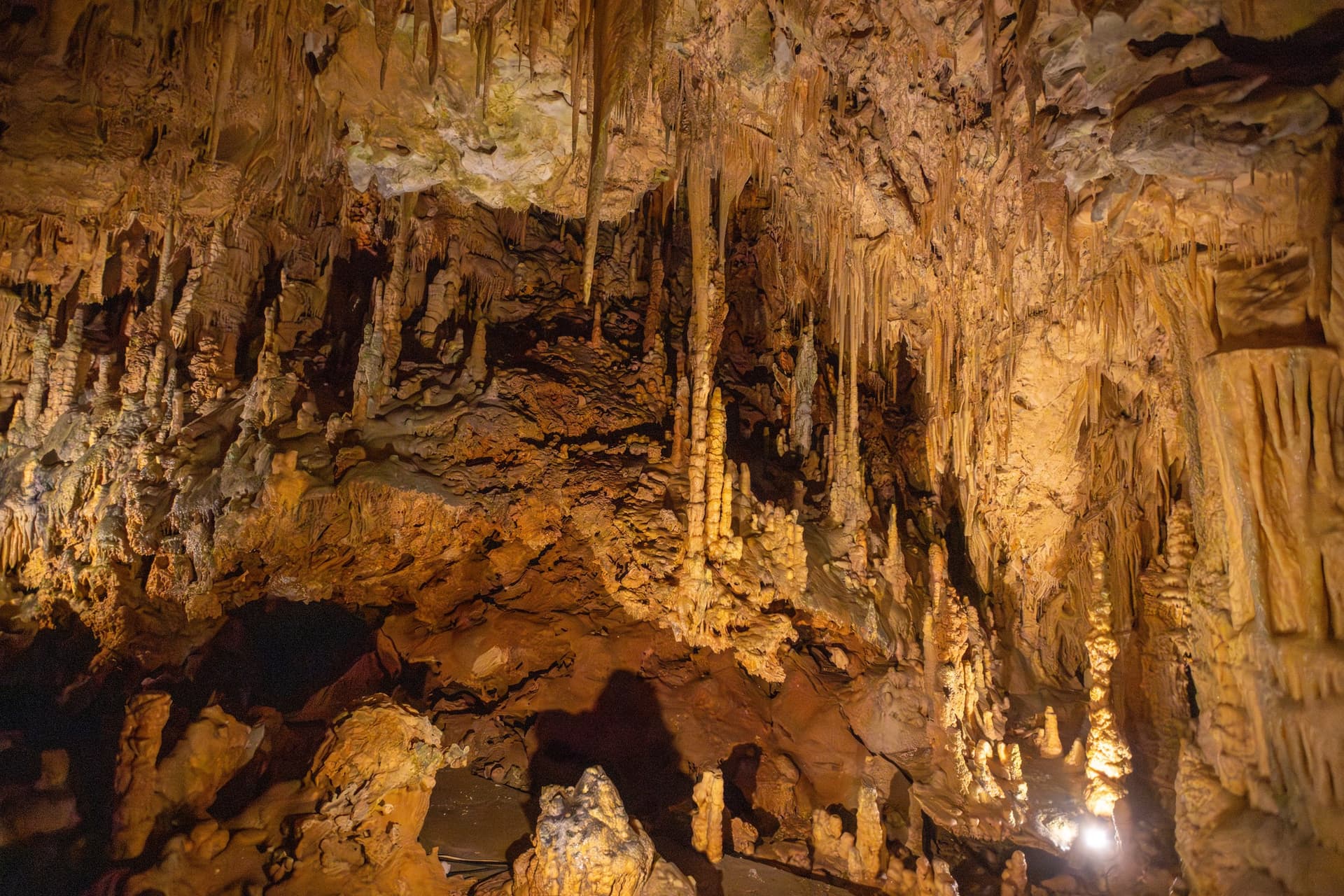 Alt text not provided