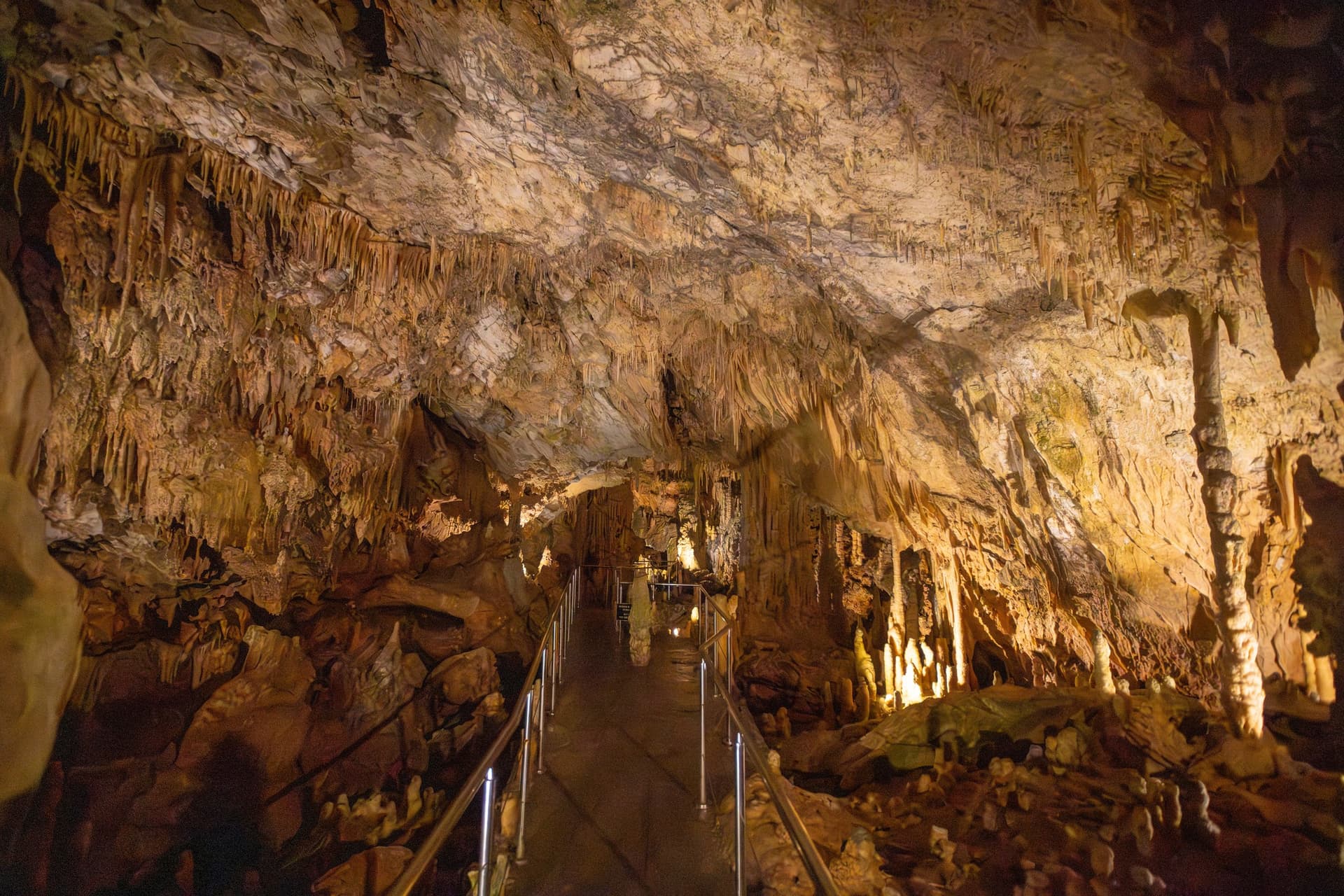 Alt text not provided