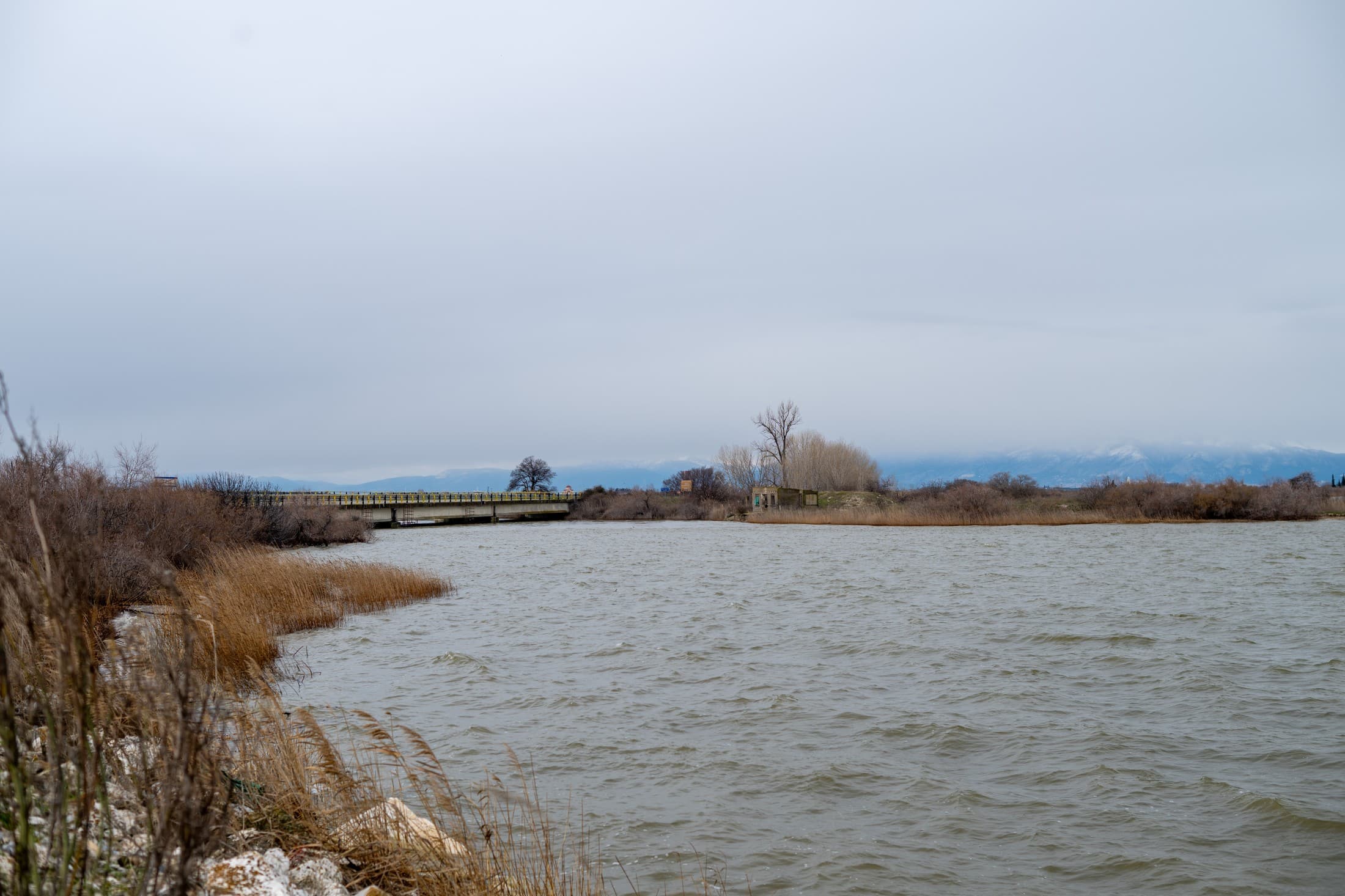 Alt text not provided