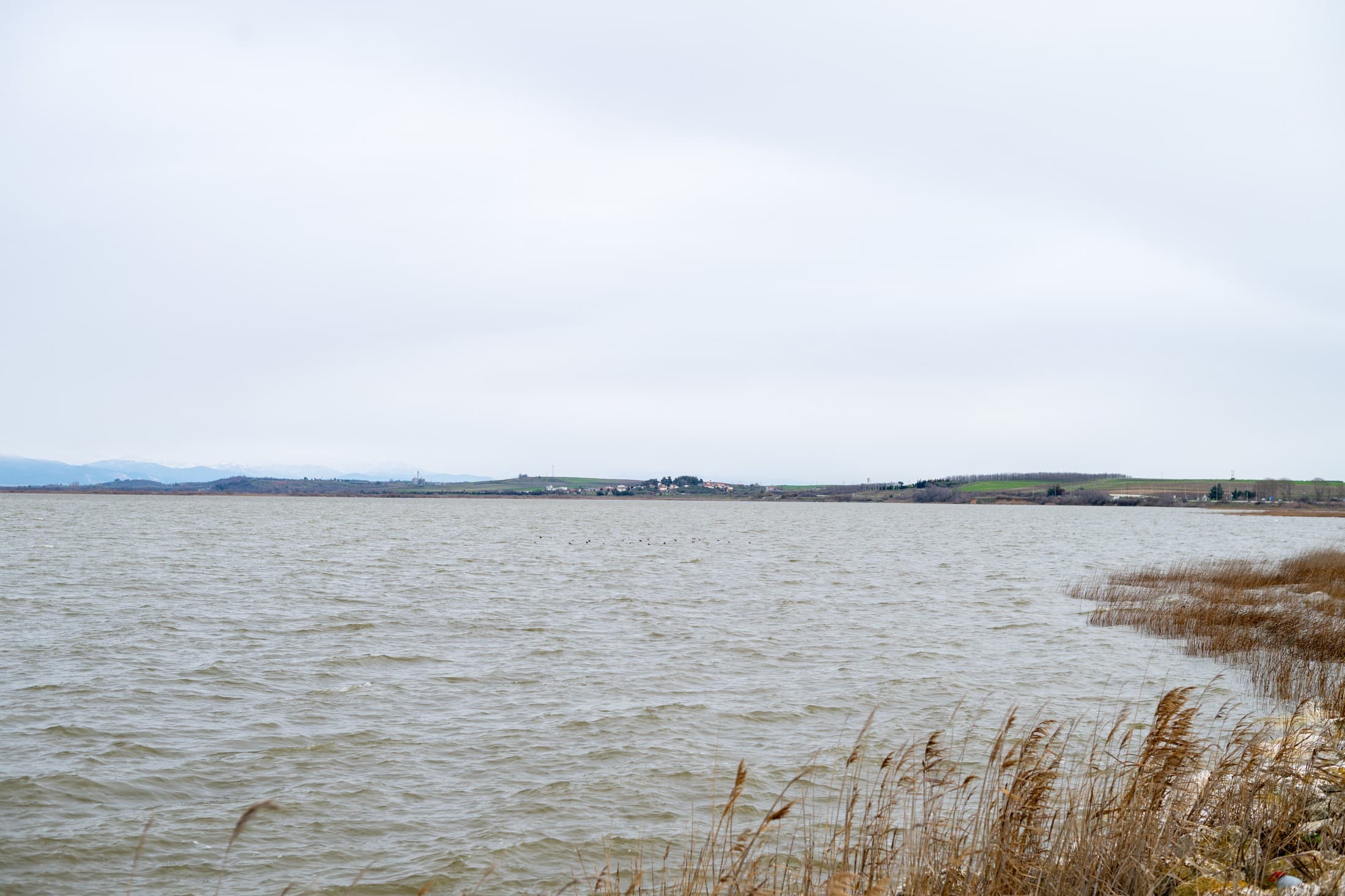 Alt text not provided