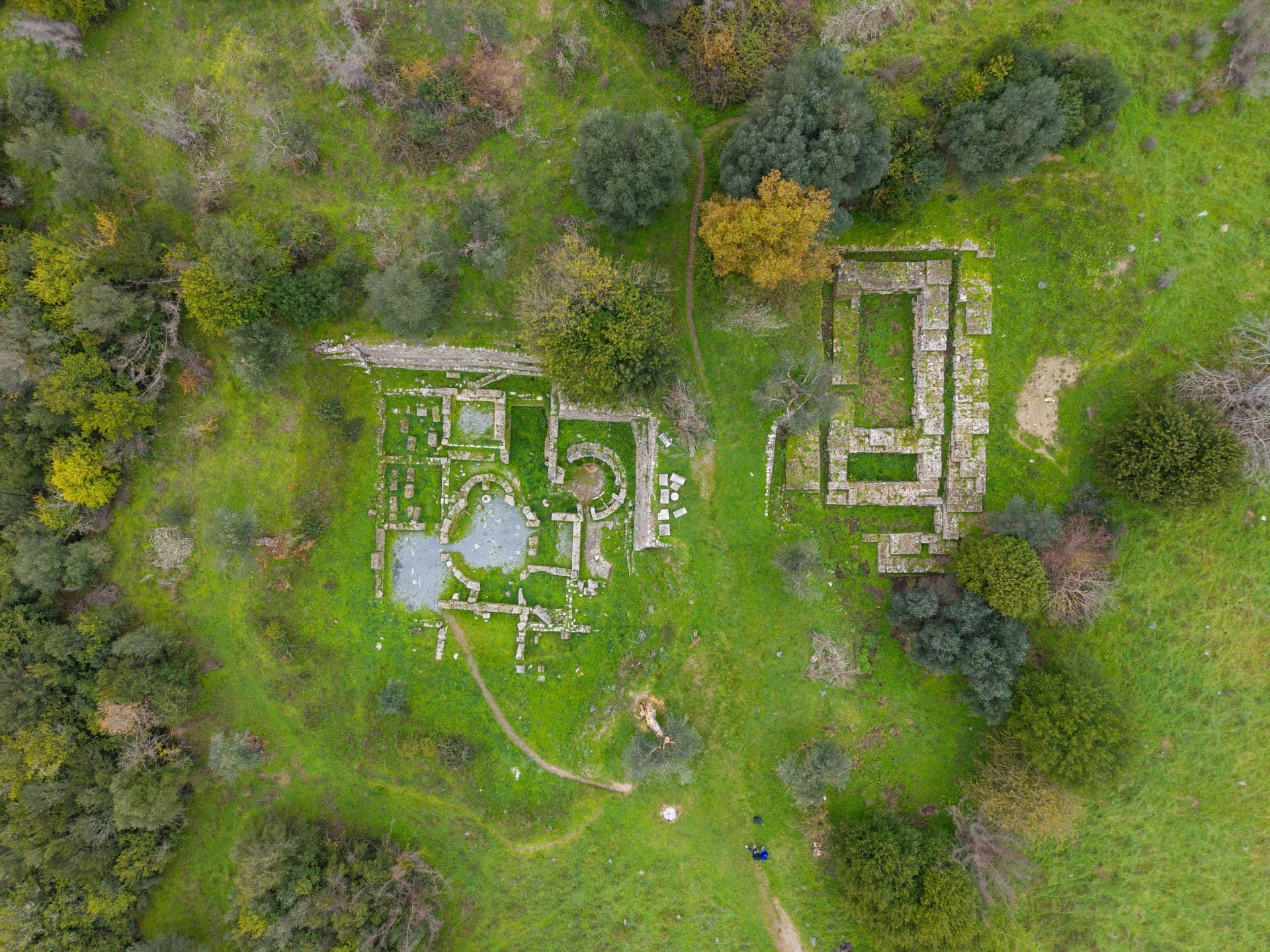 Alt text not provided