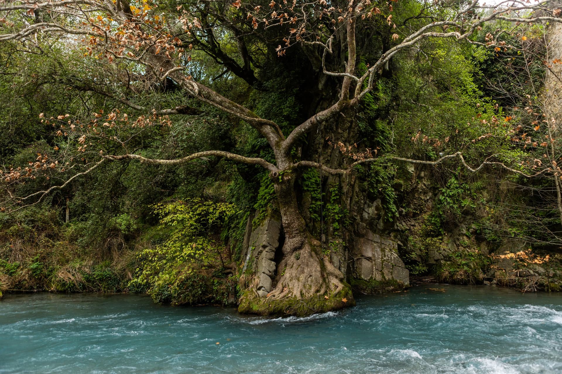 Alt text not provided