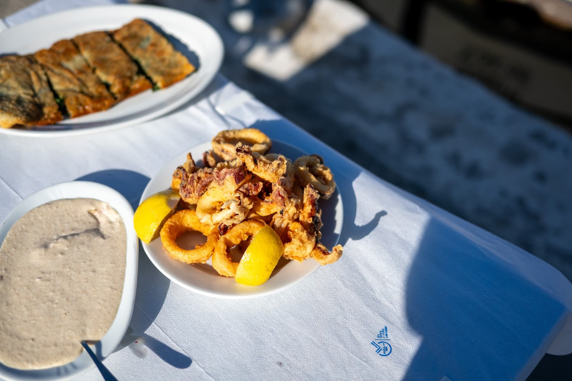 Alt text not provided