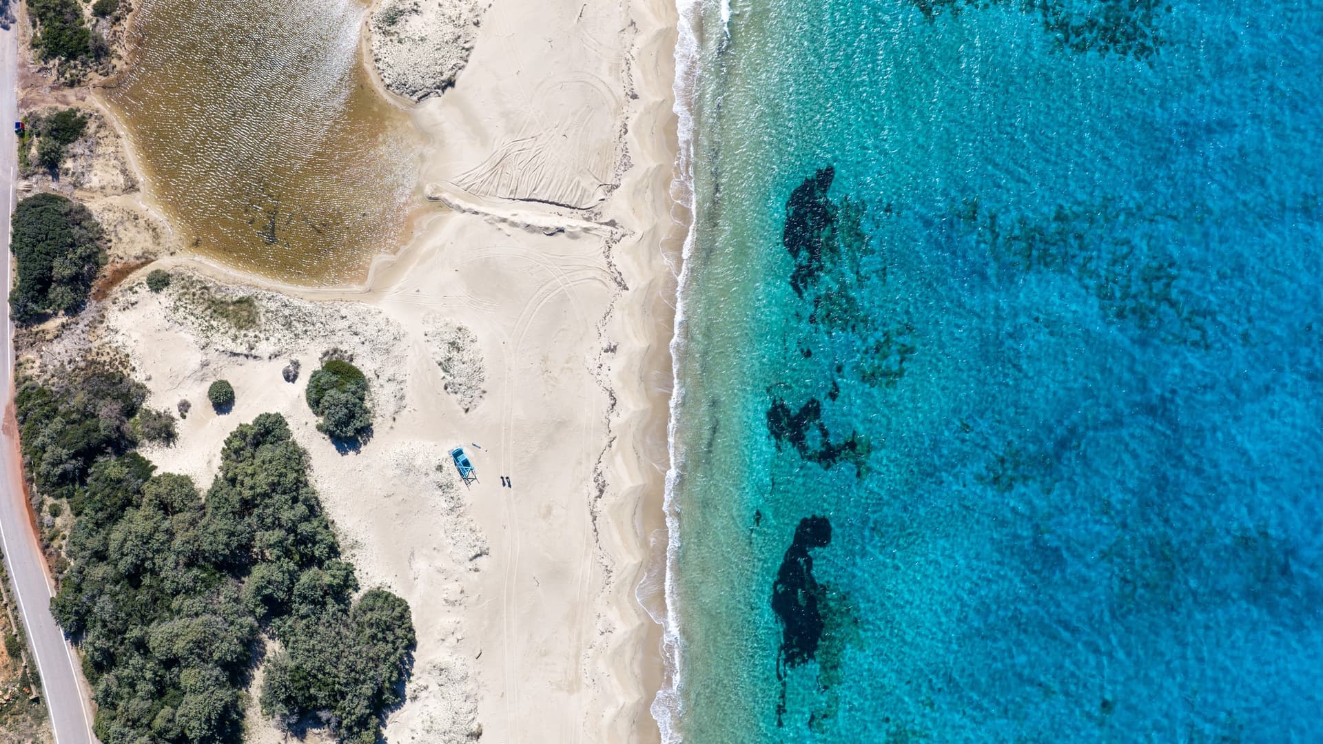 Alt text not provided