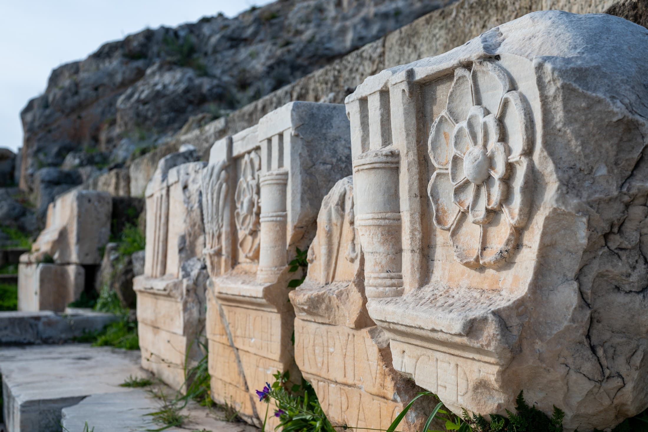 Alt text not provided