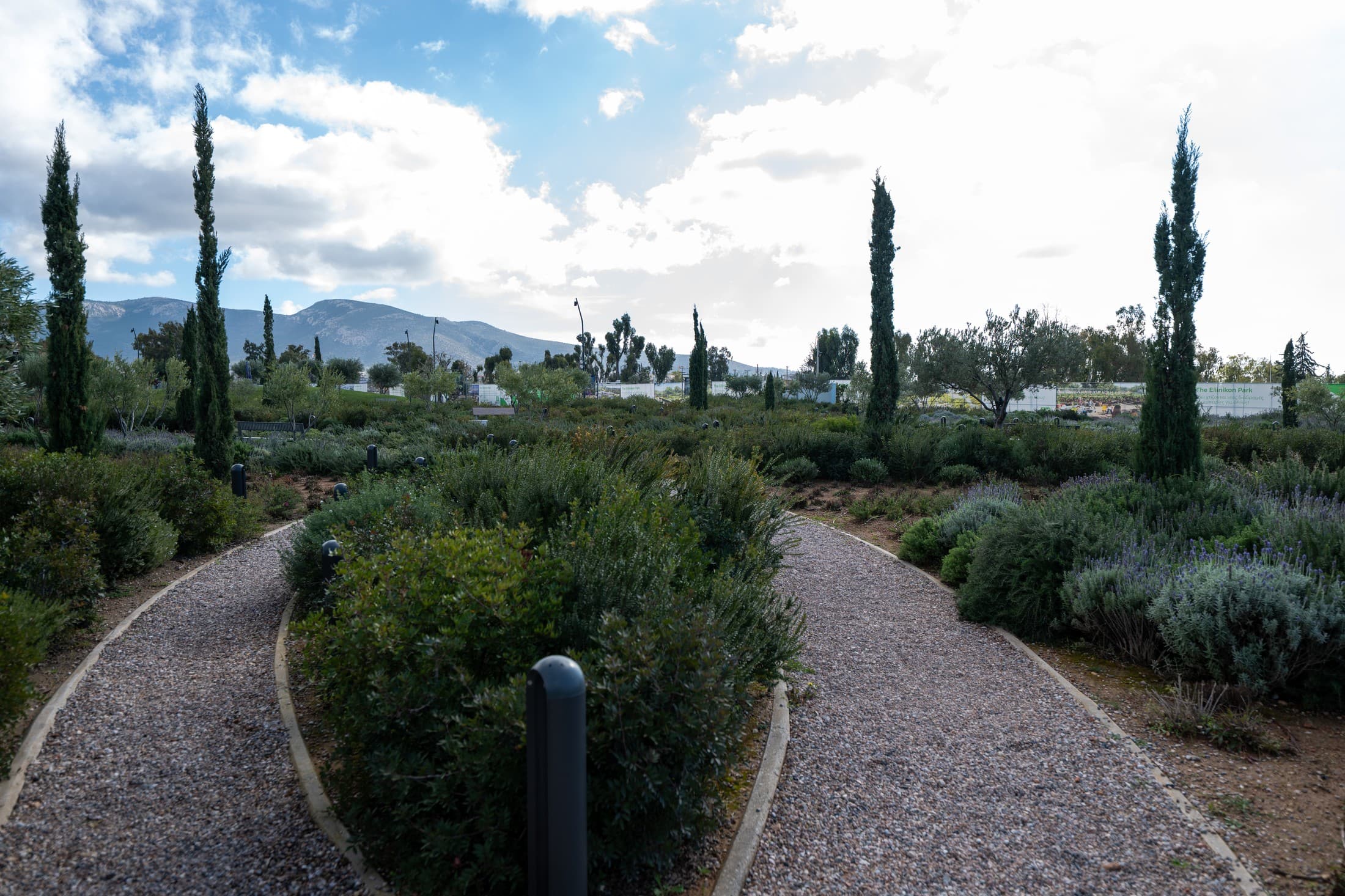 Alt text not provided