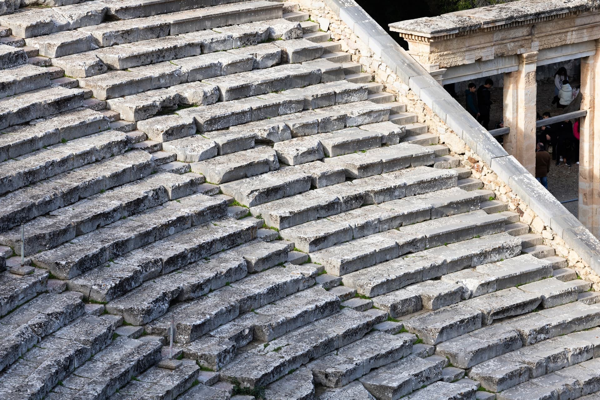 Alt text not provided