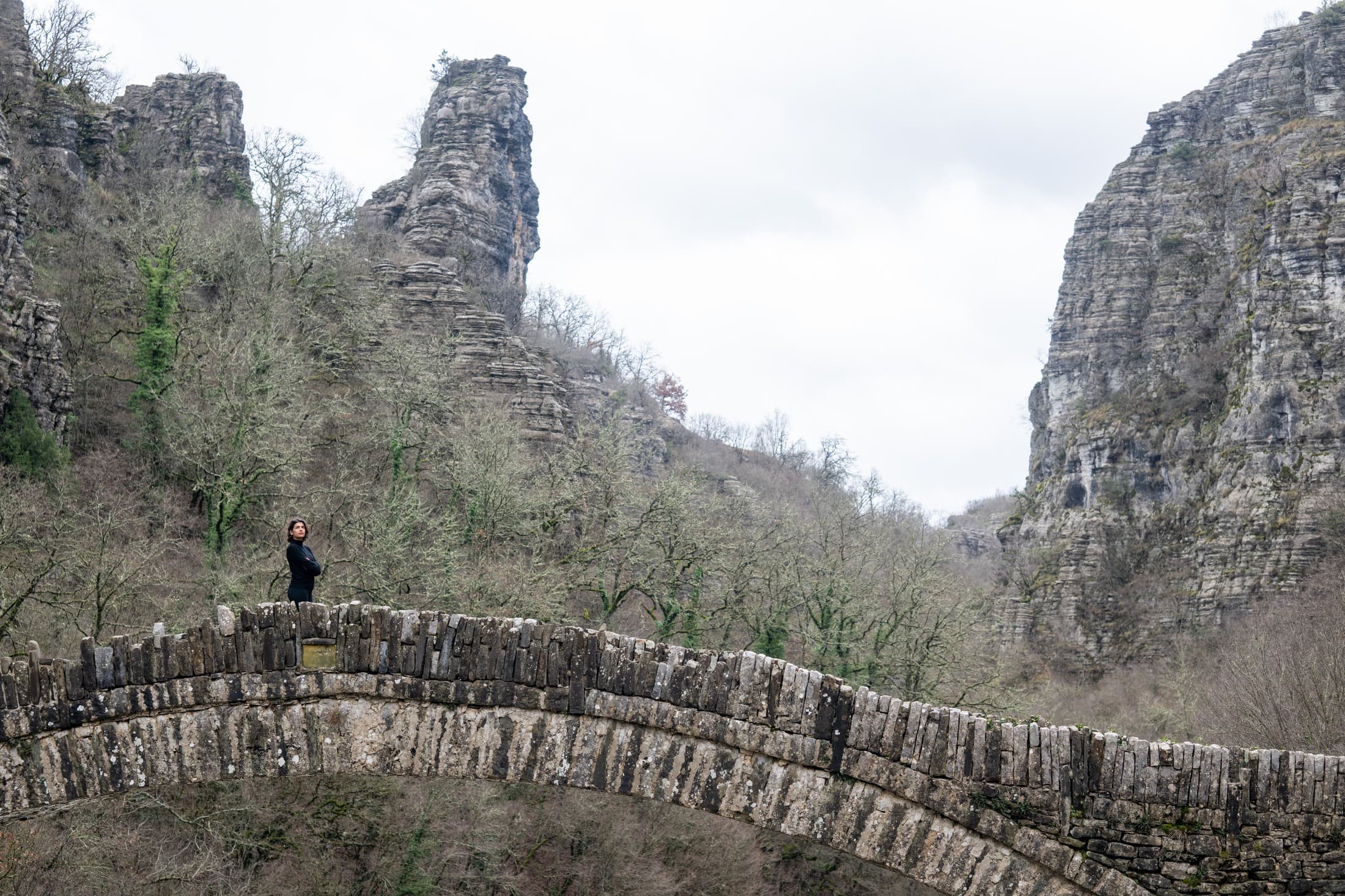 Alt text not provided