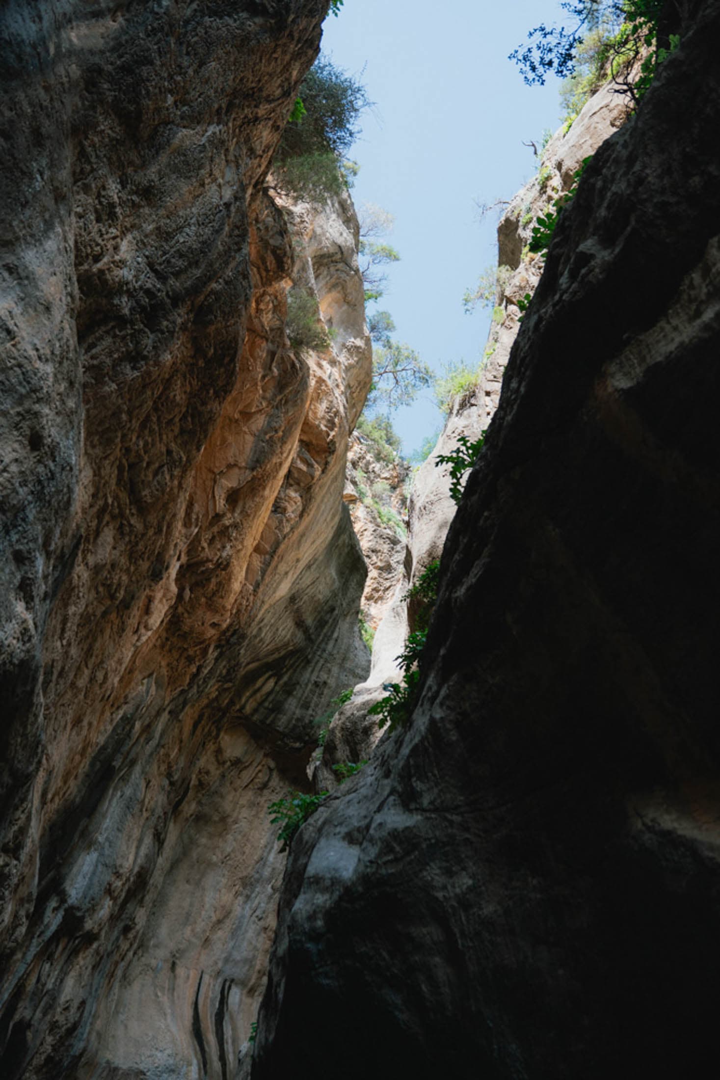 Alt text not provided