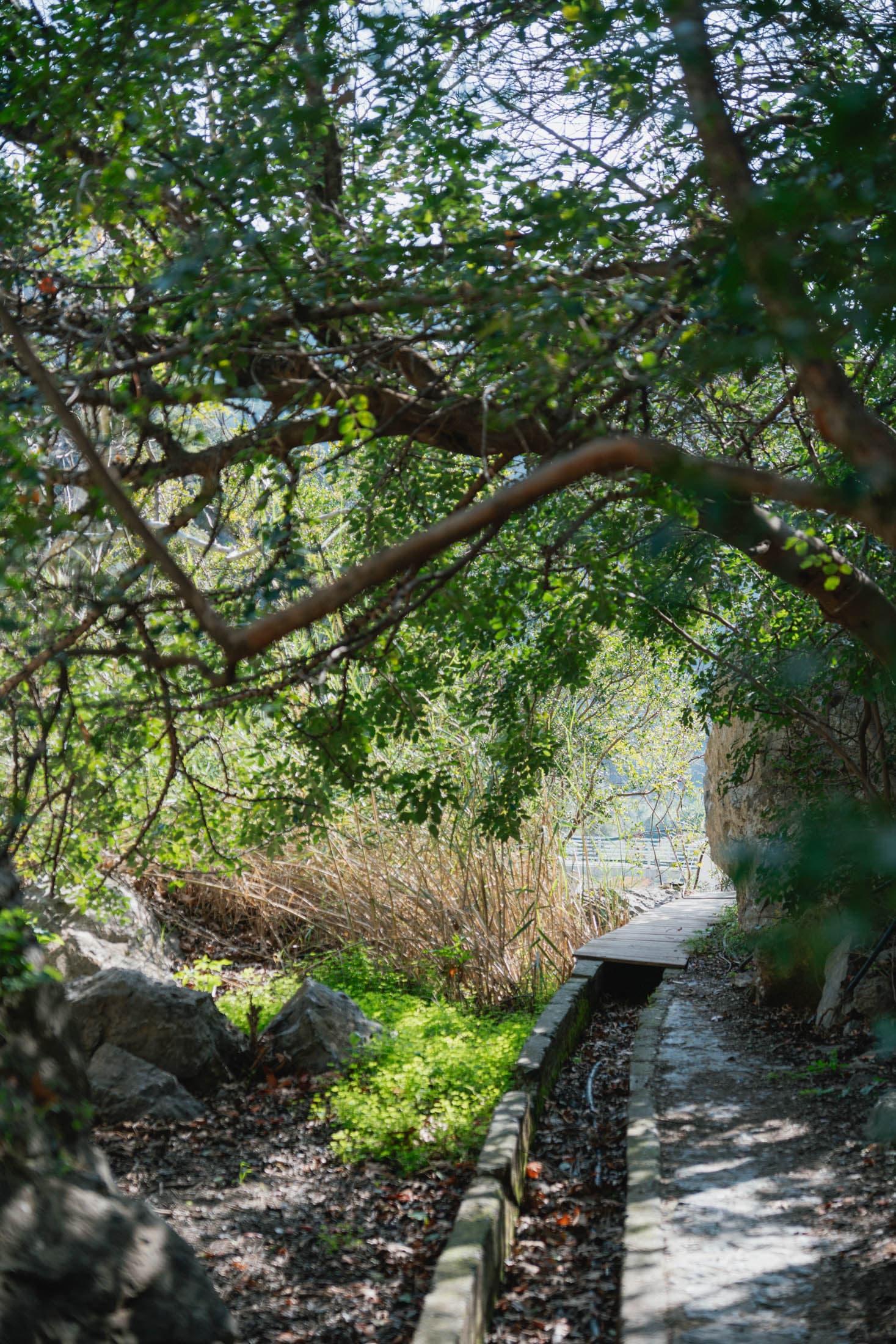 Alt text not provided