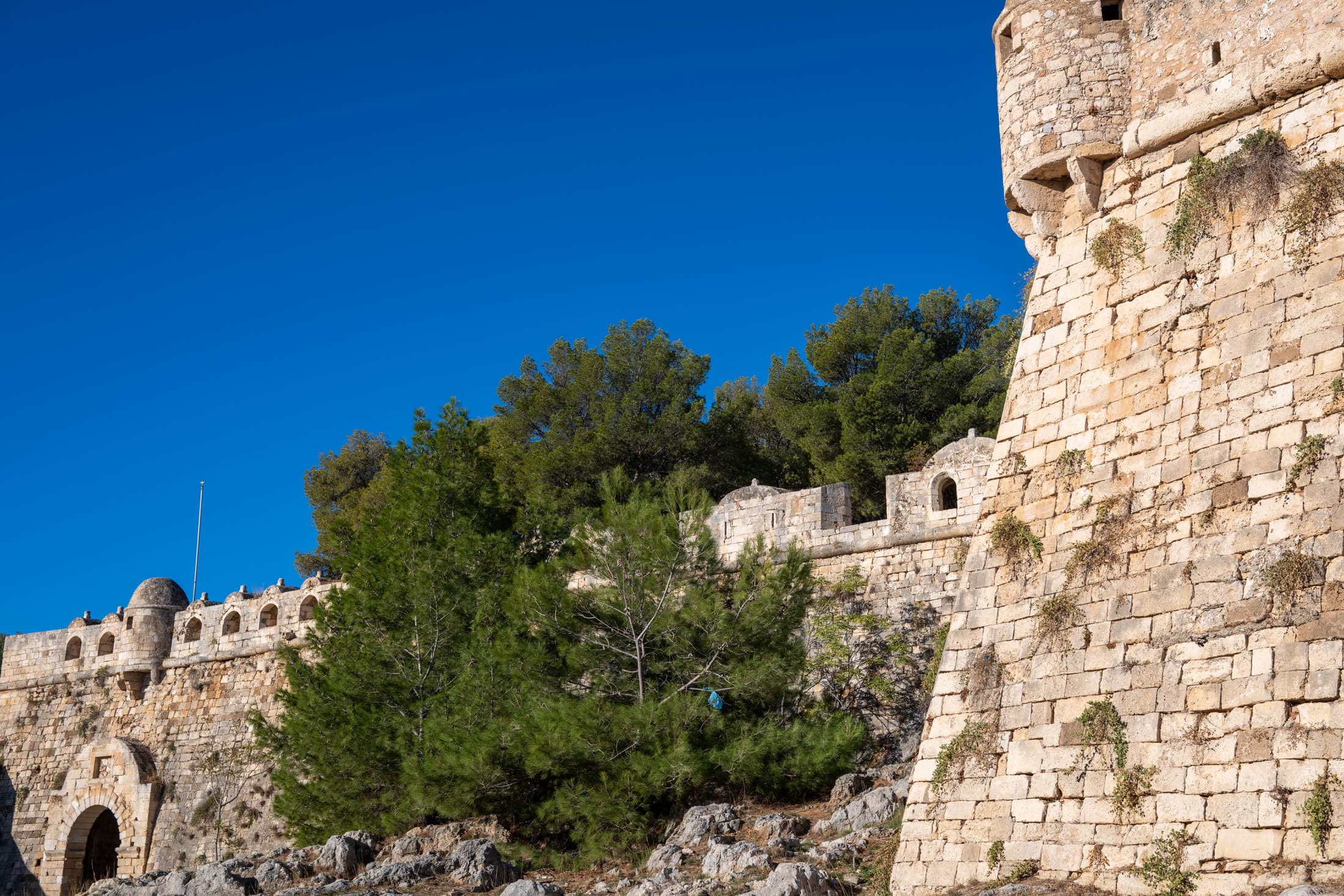 Alt text not provided