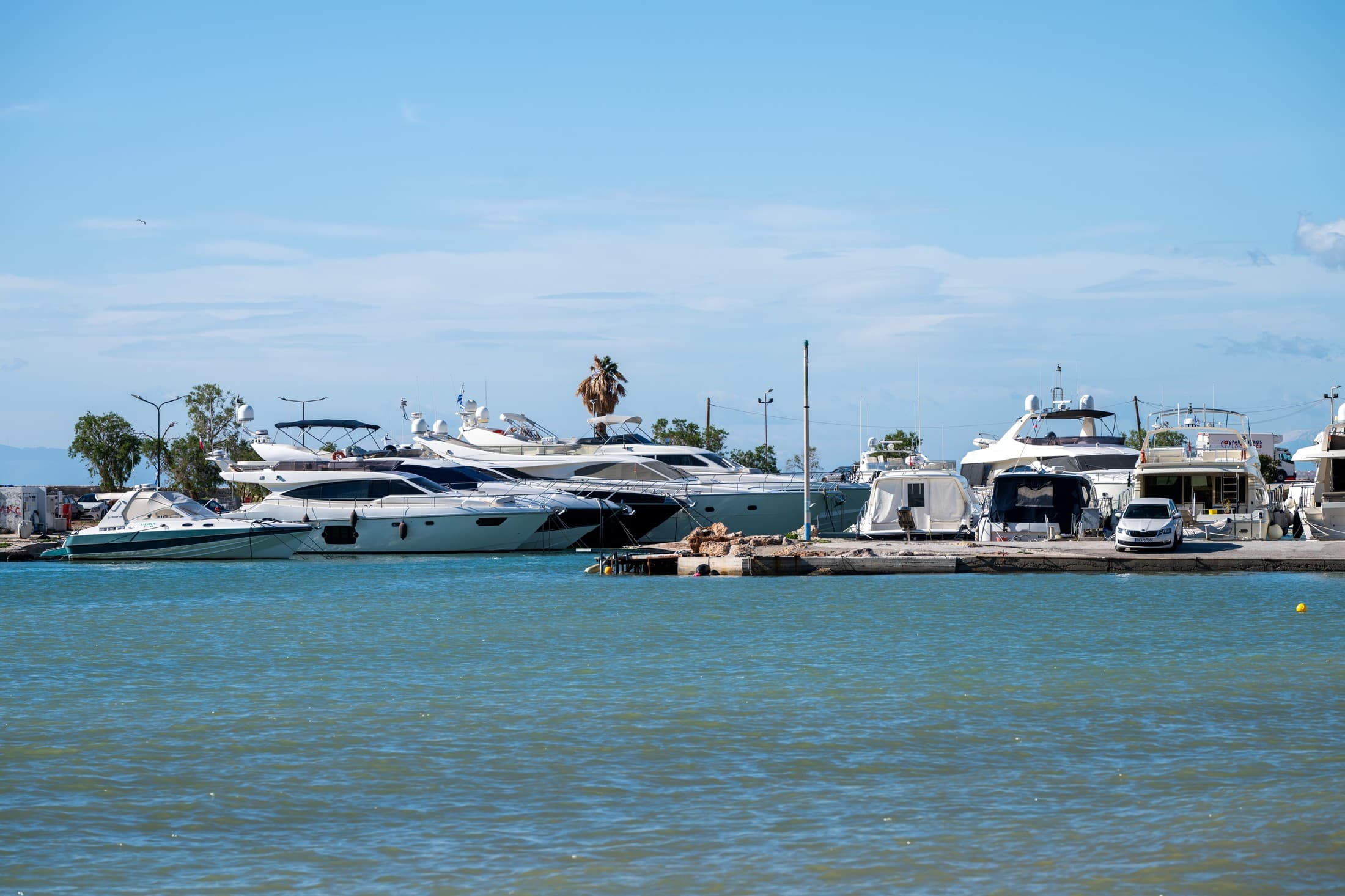 Alt text not provided