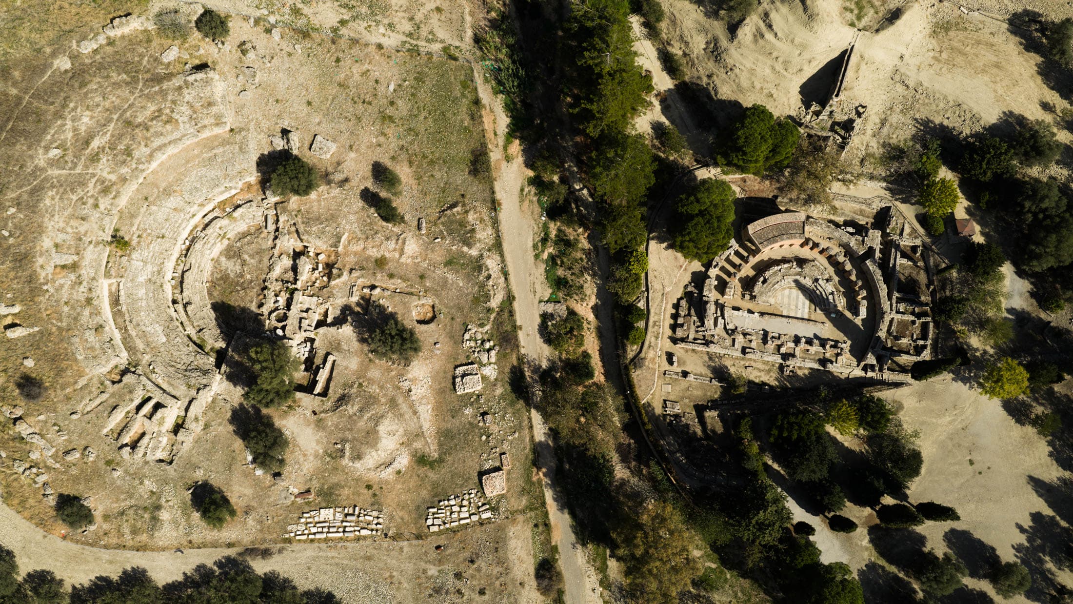 Alt text not provided