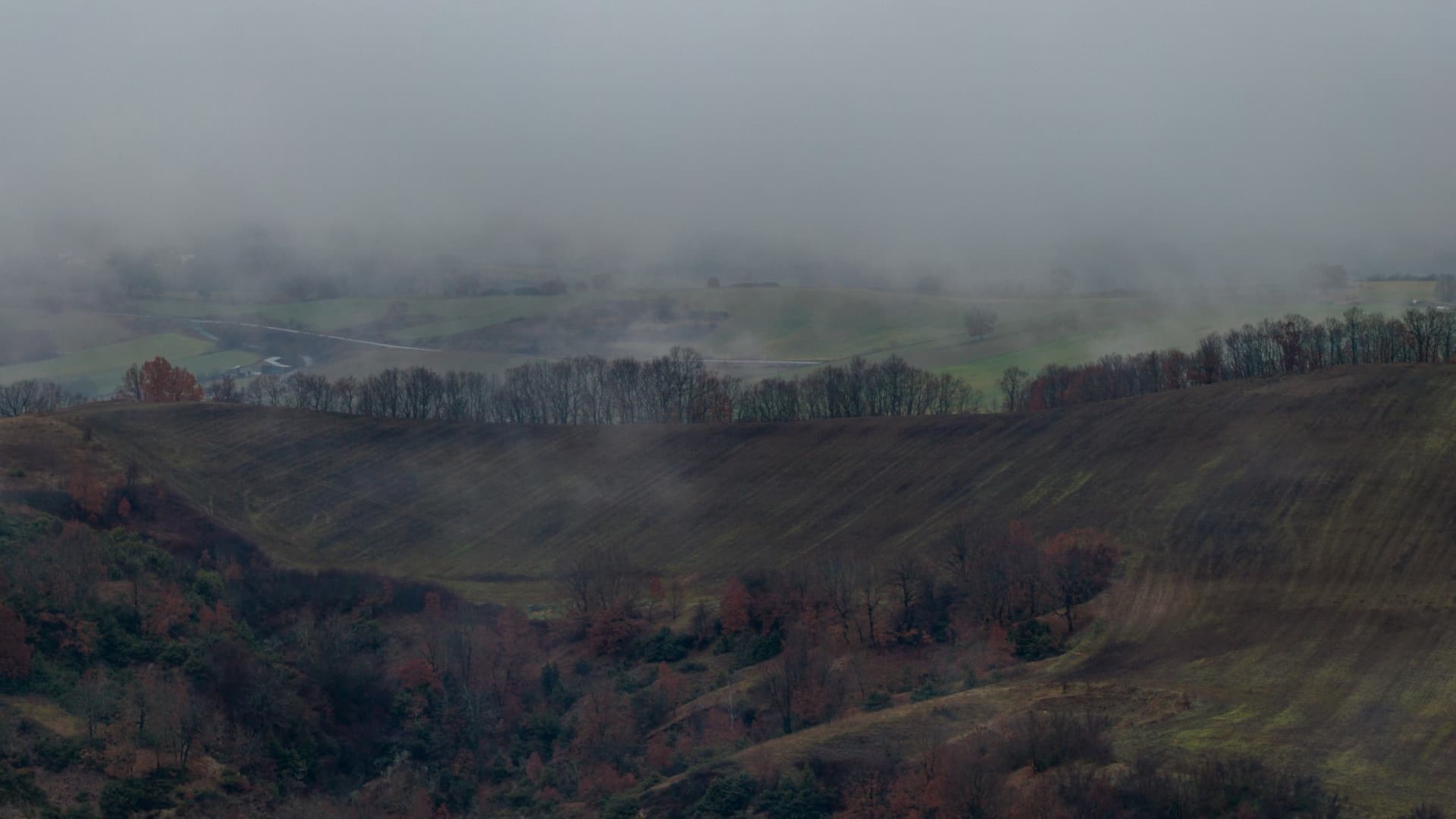 Alt text not provided