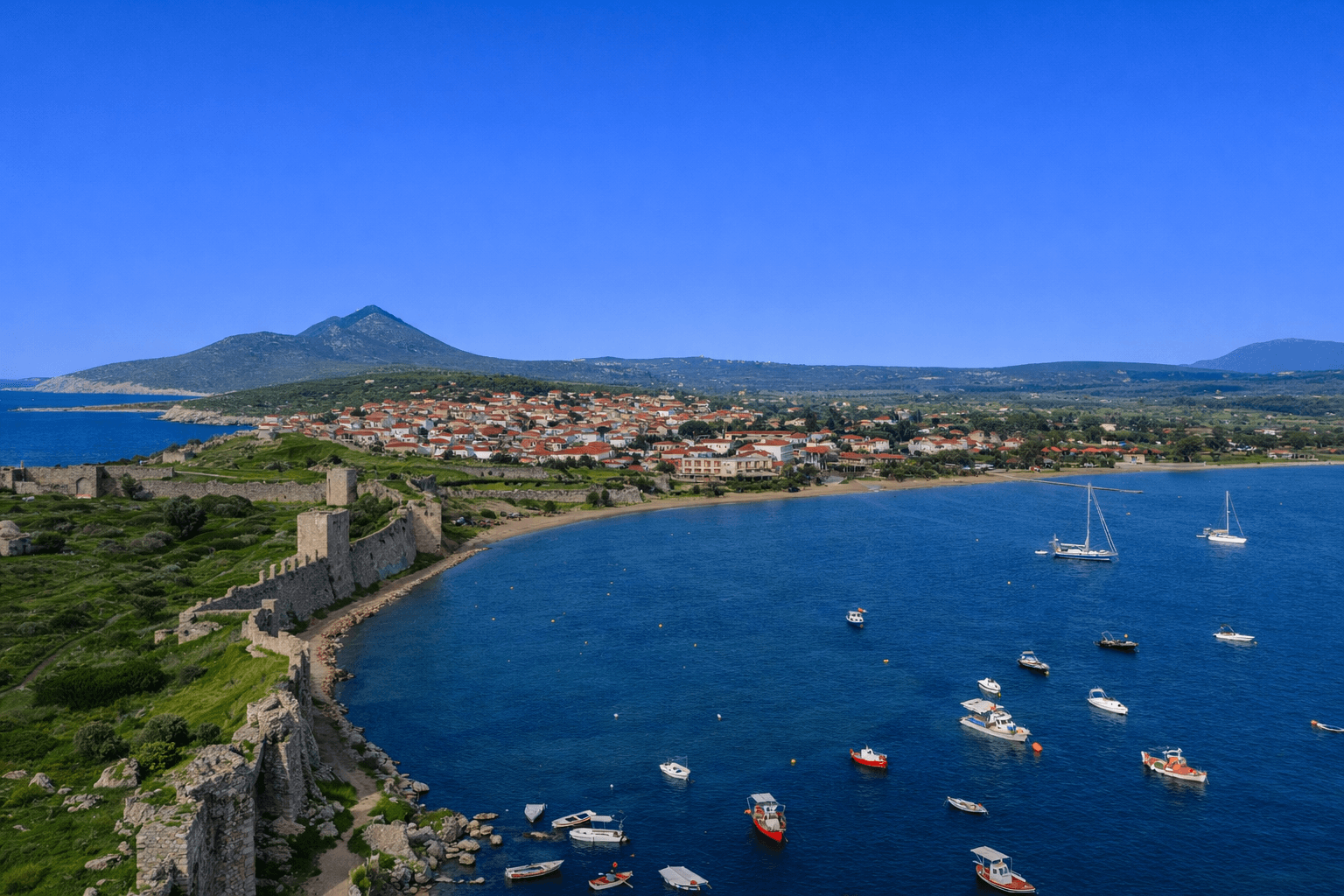 Alt text not provided