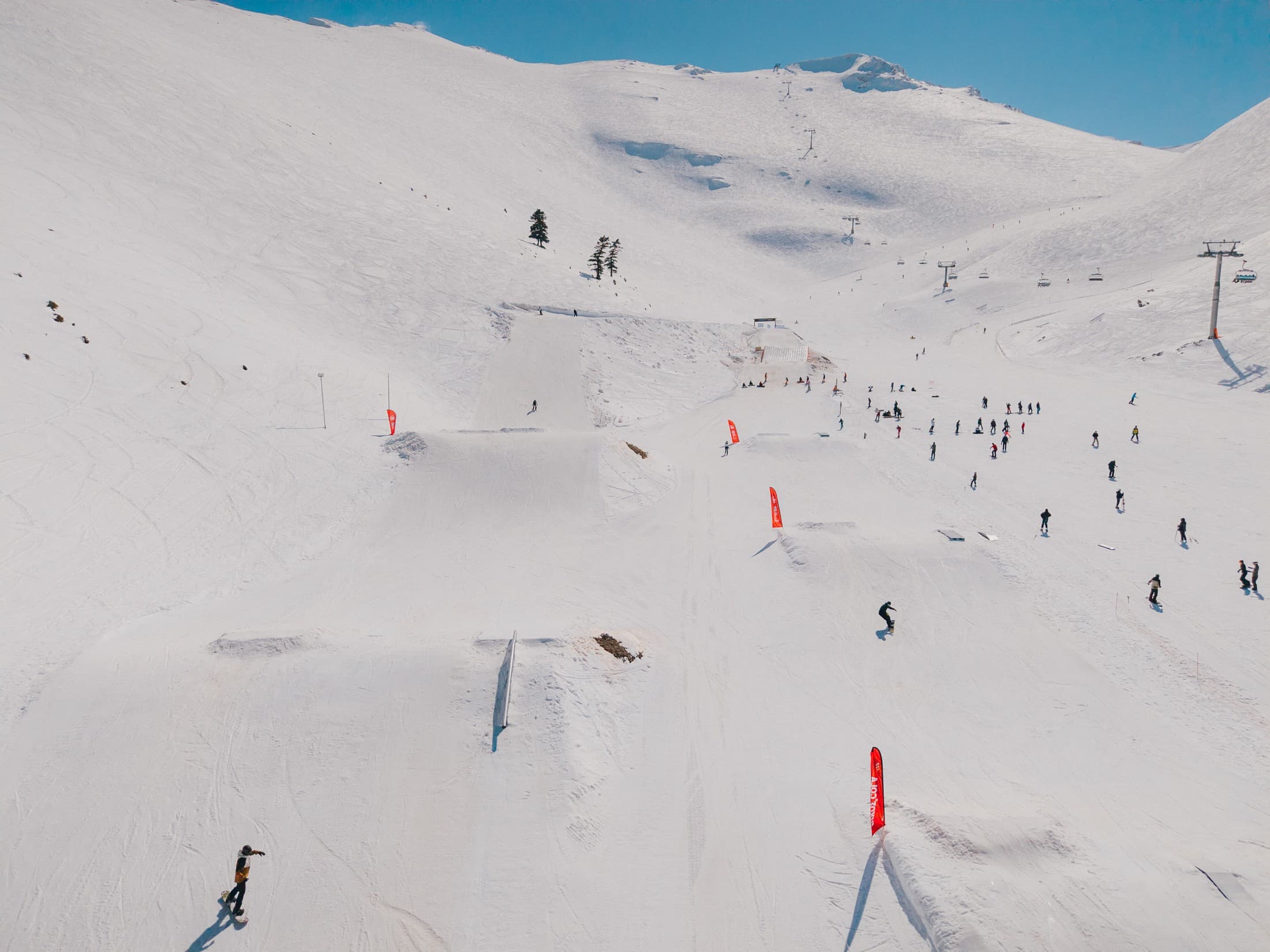 Alt text not provided