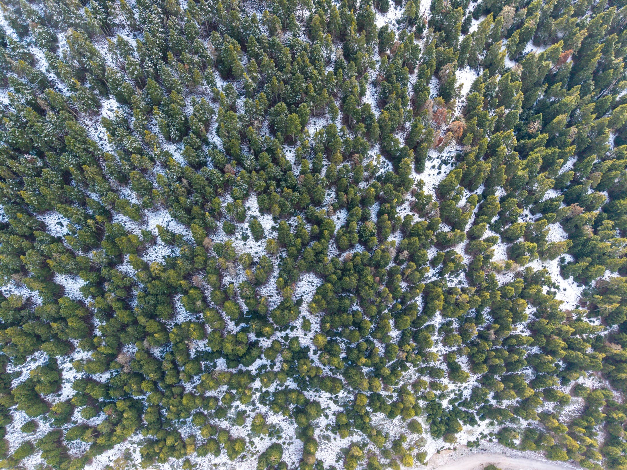 Alt text not provided