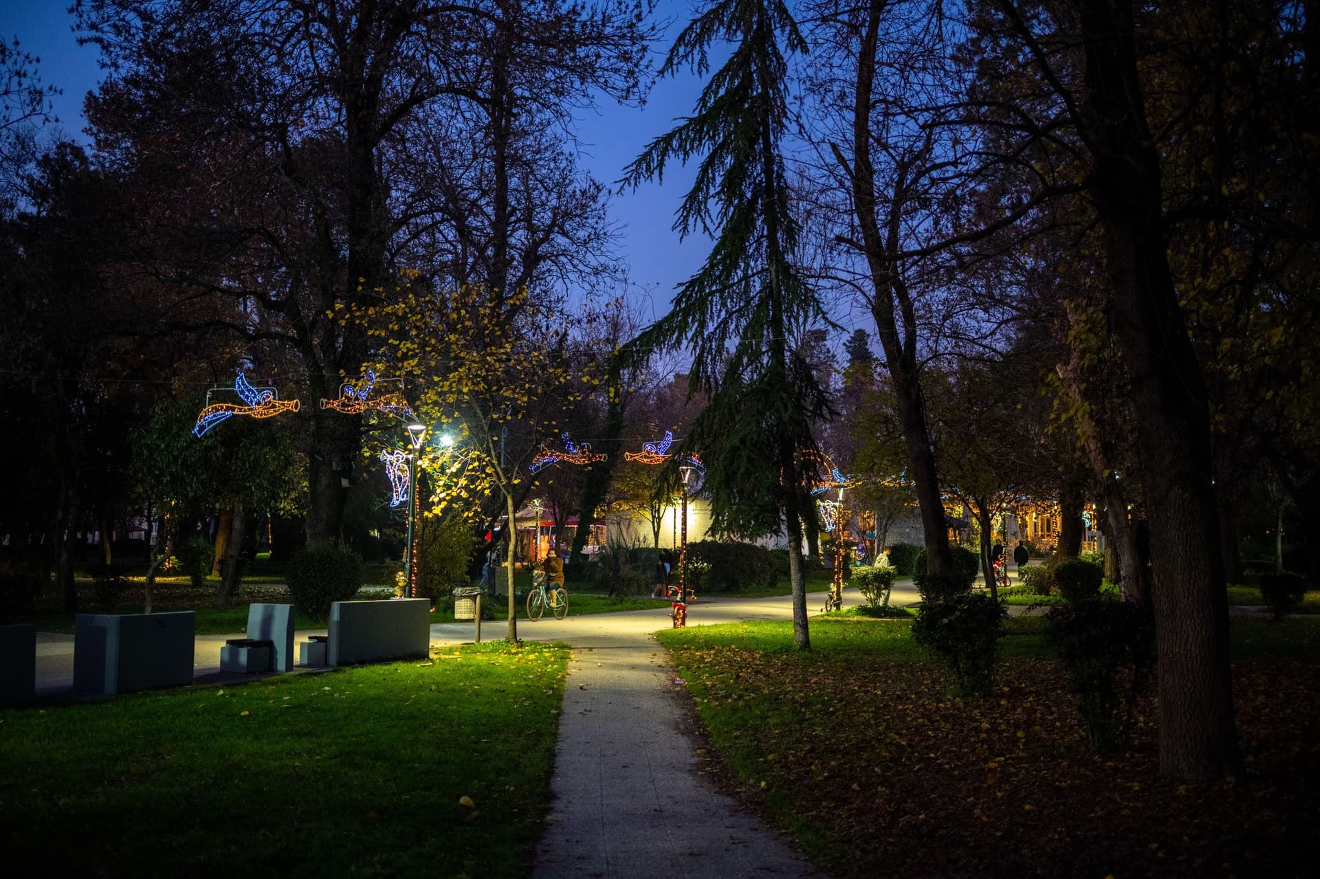 Alt text not provided