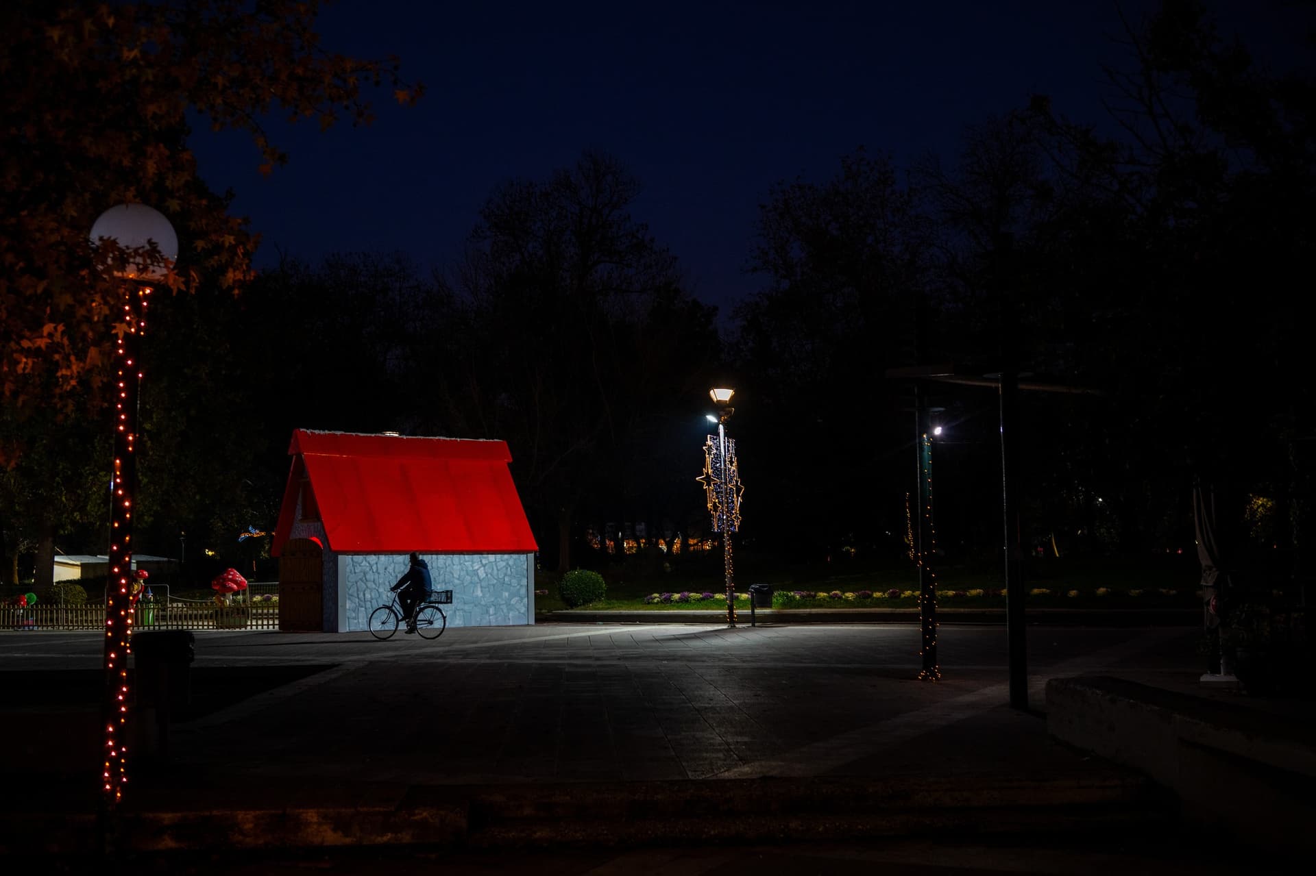 Alt text not provided