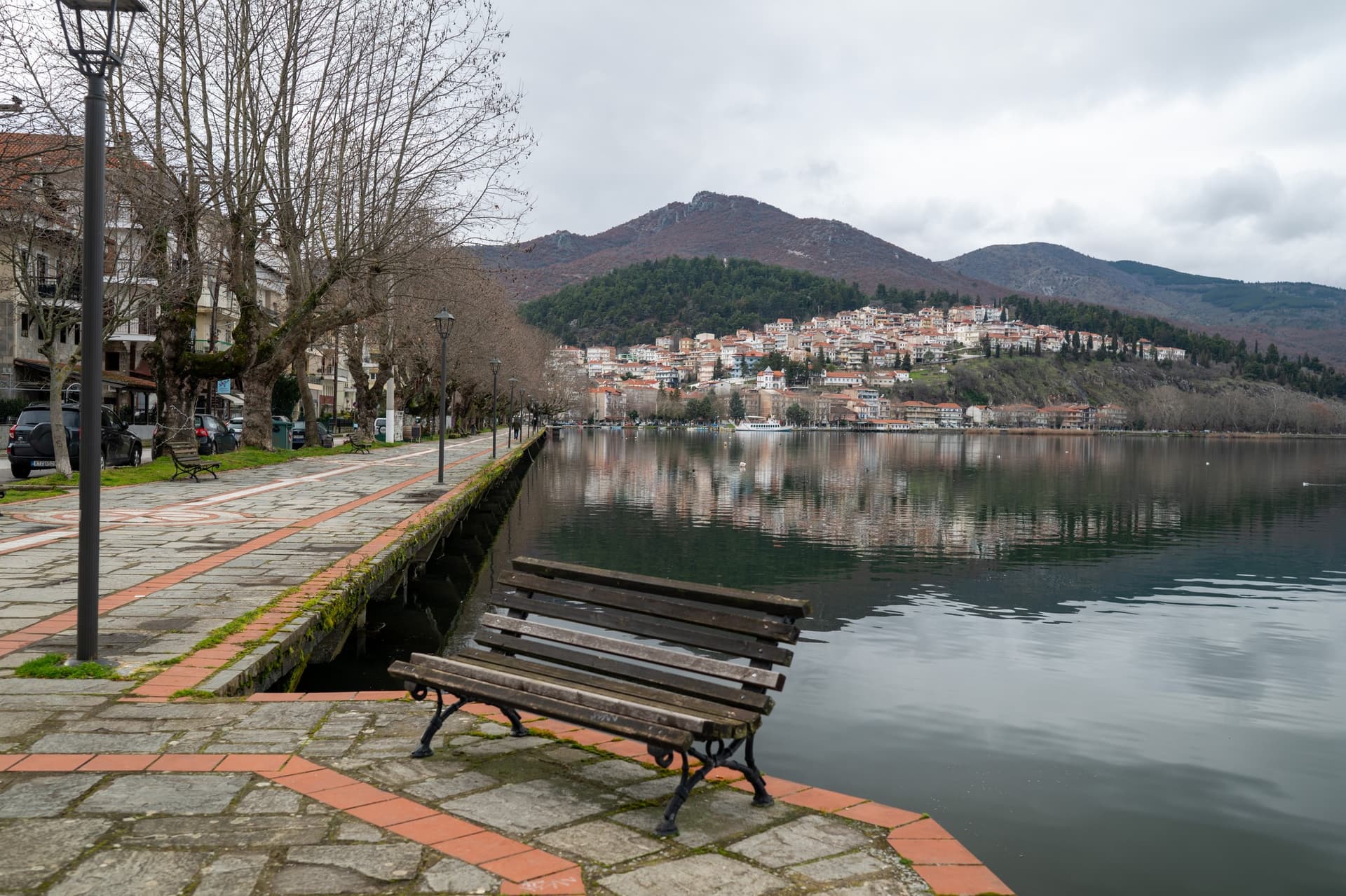 Alt text not provided