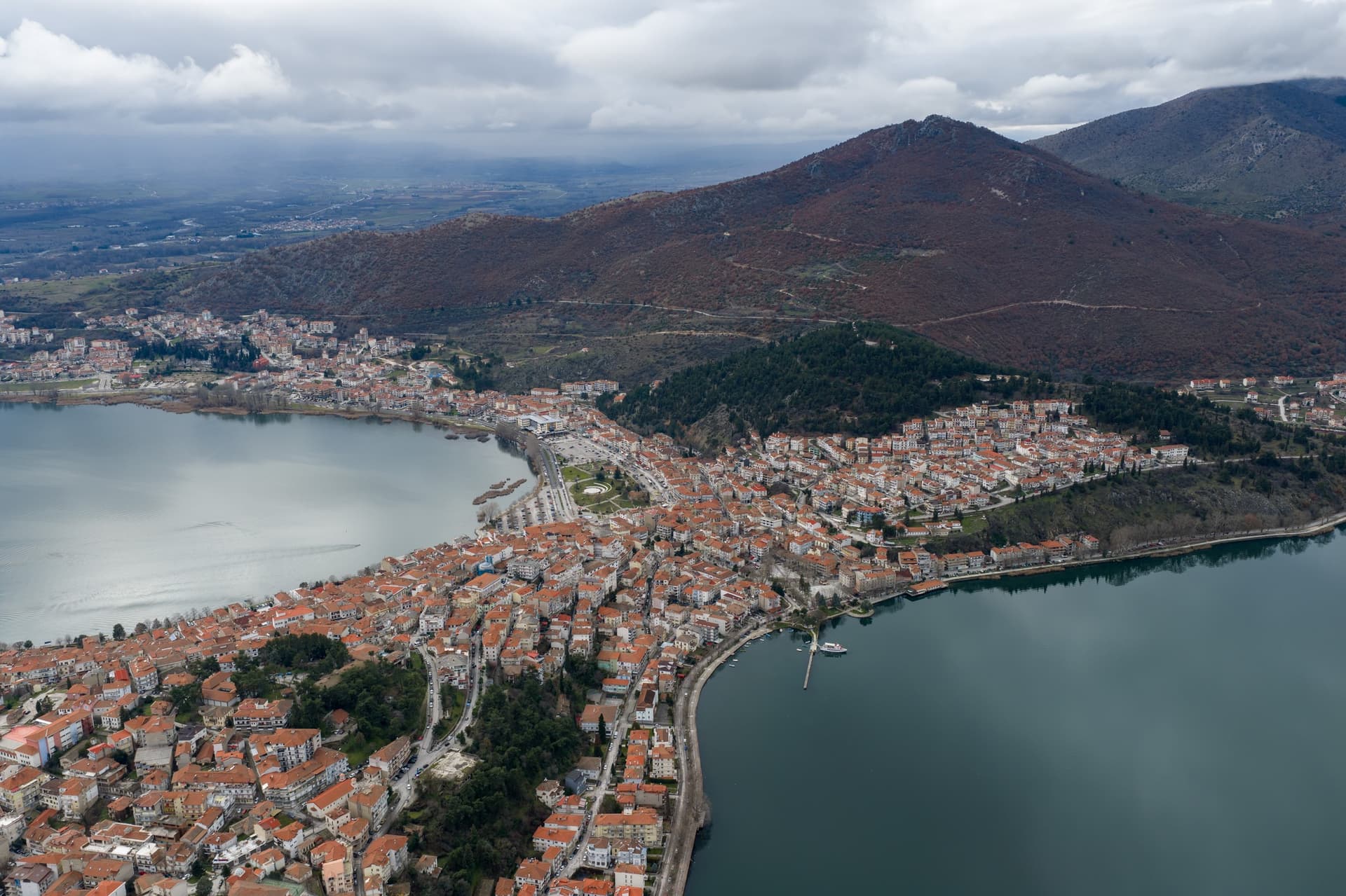 Alt text not provided