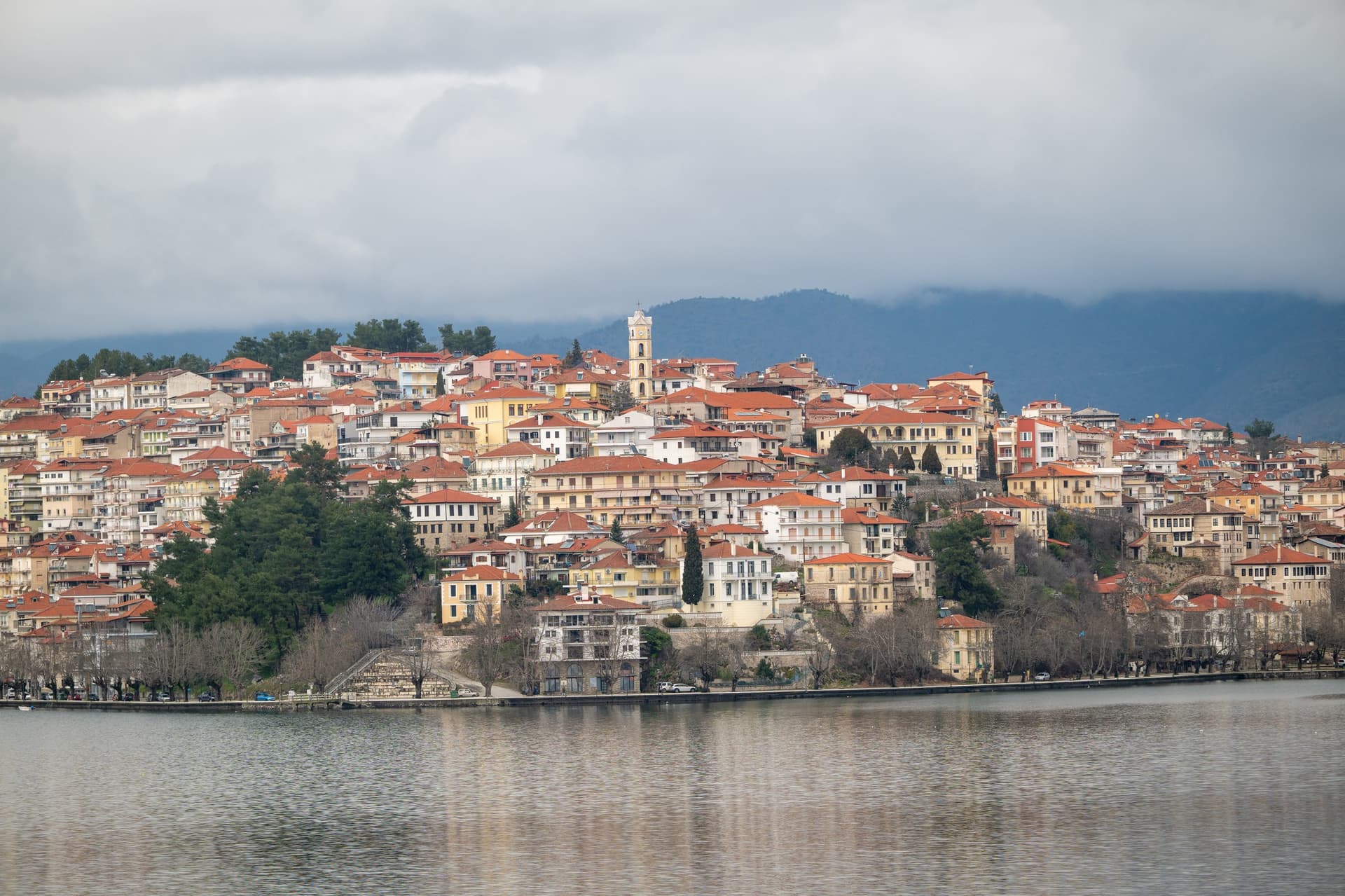 Alt text not provided