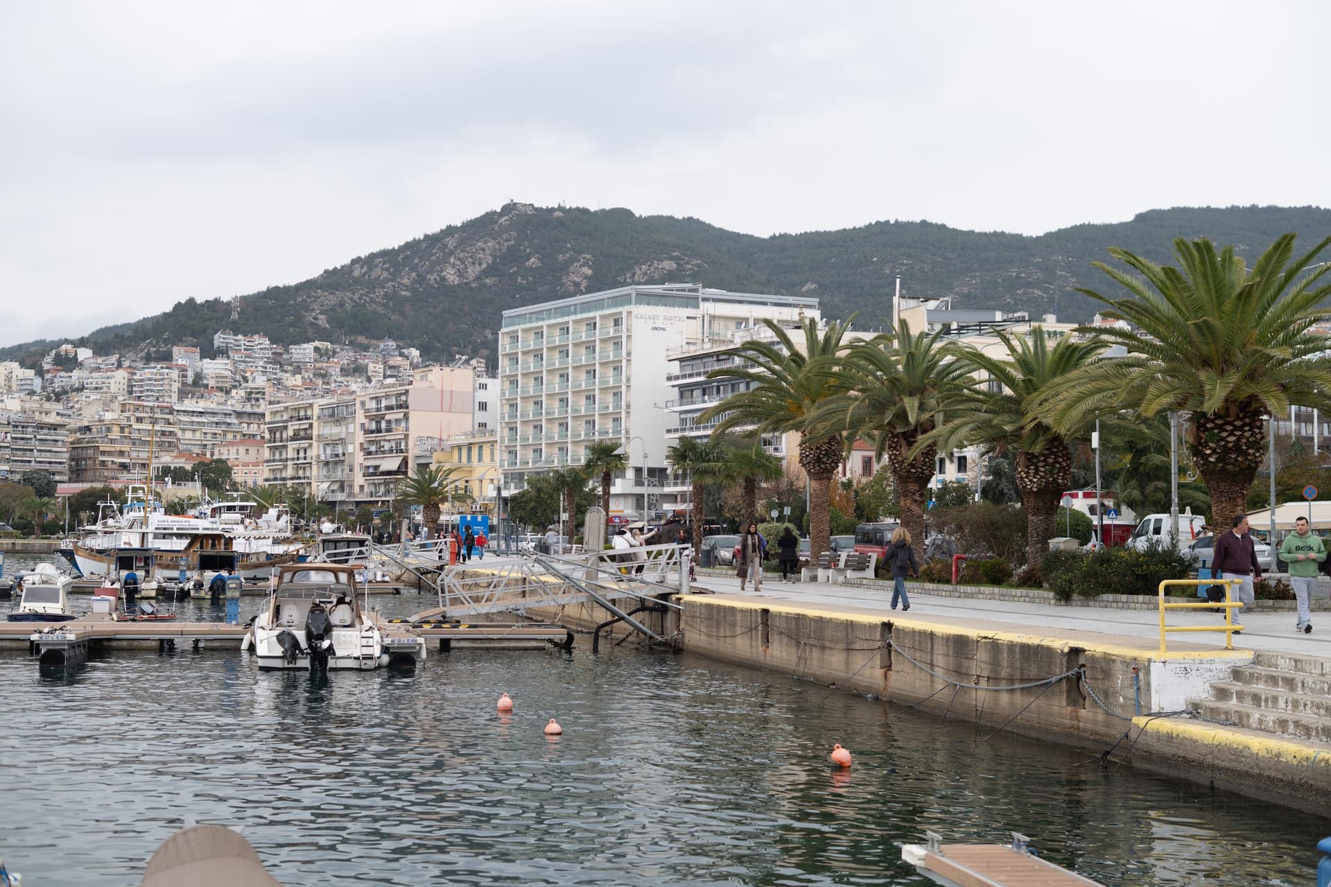 Alt text not provided