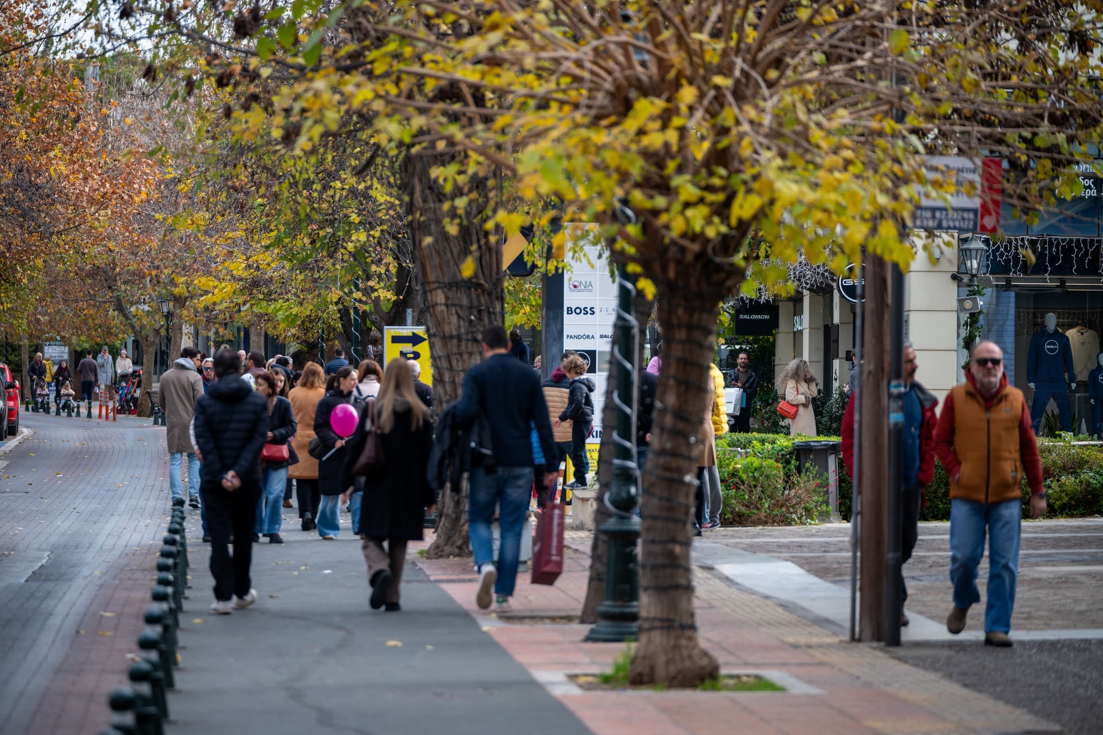 Alt text not provided