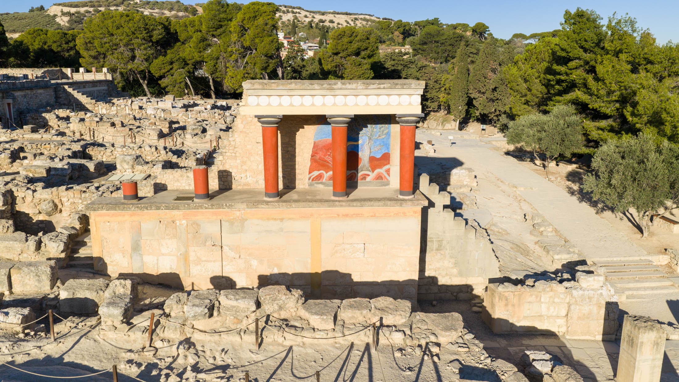 Alt text not provided