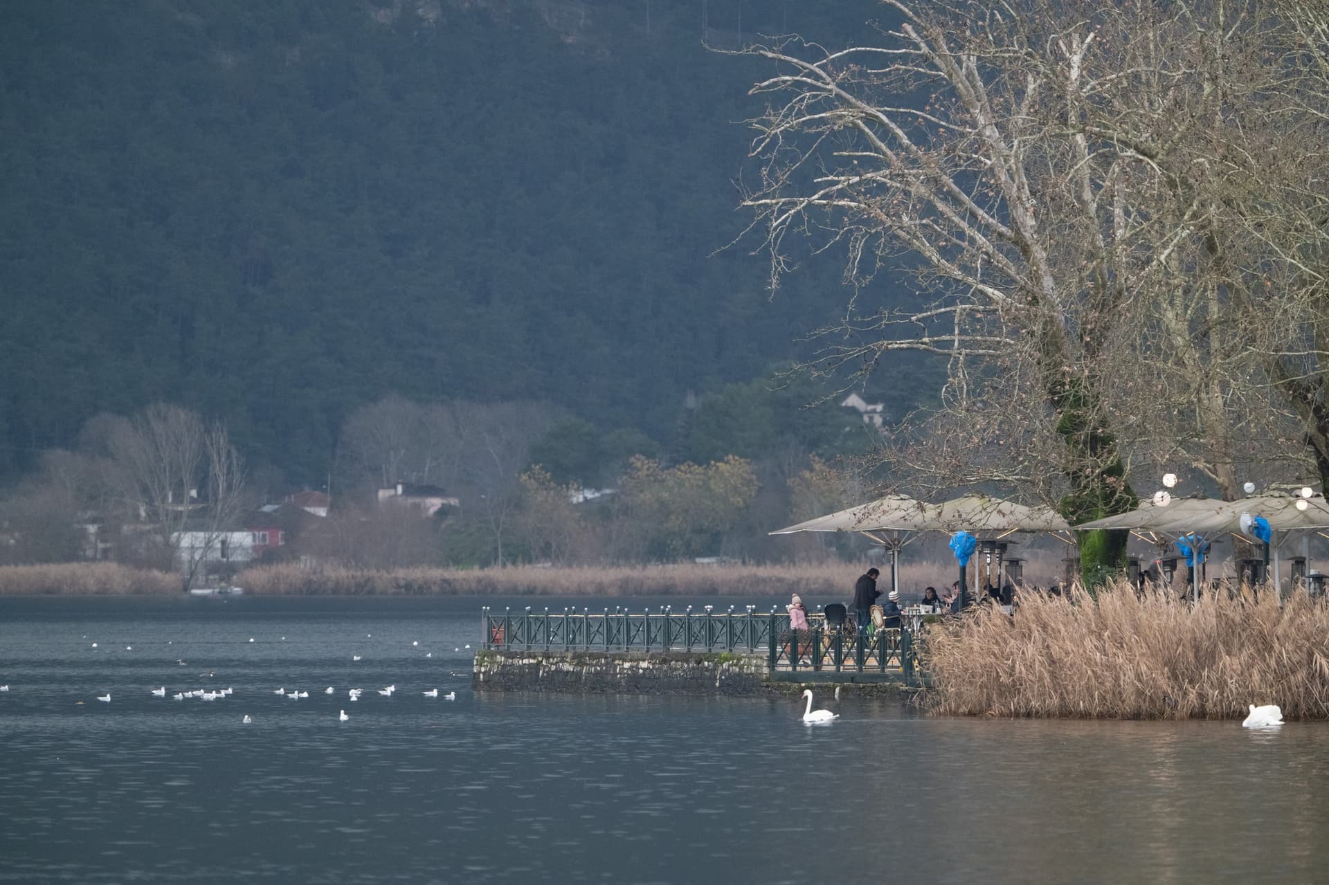 Alt text not provided