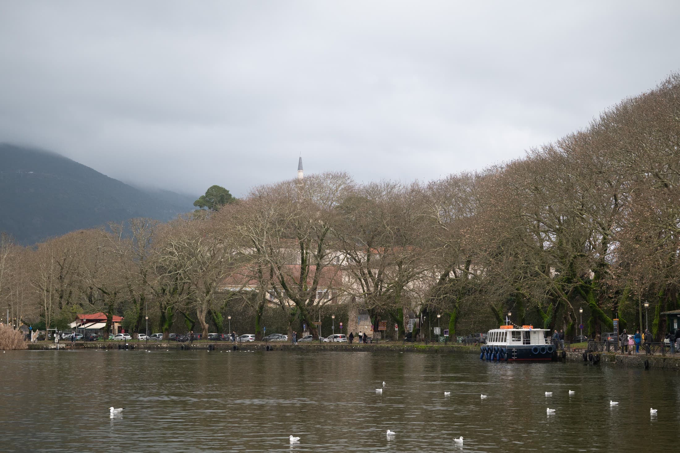 Alt text not provided